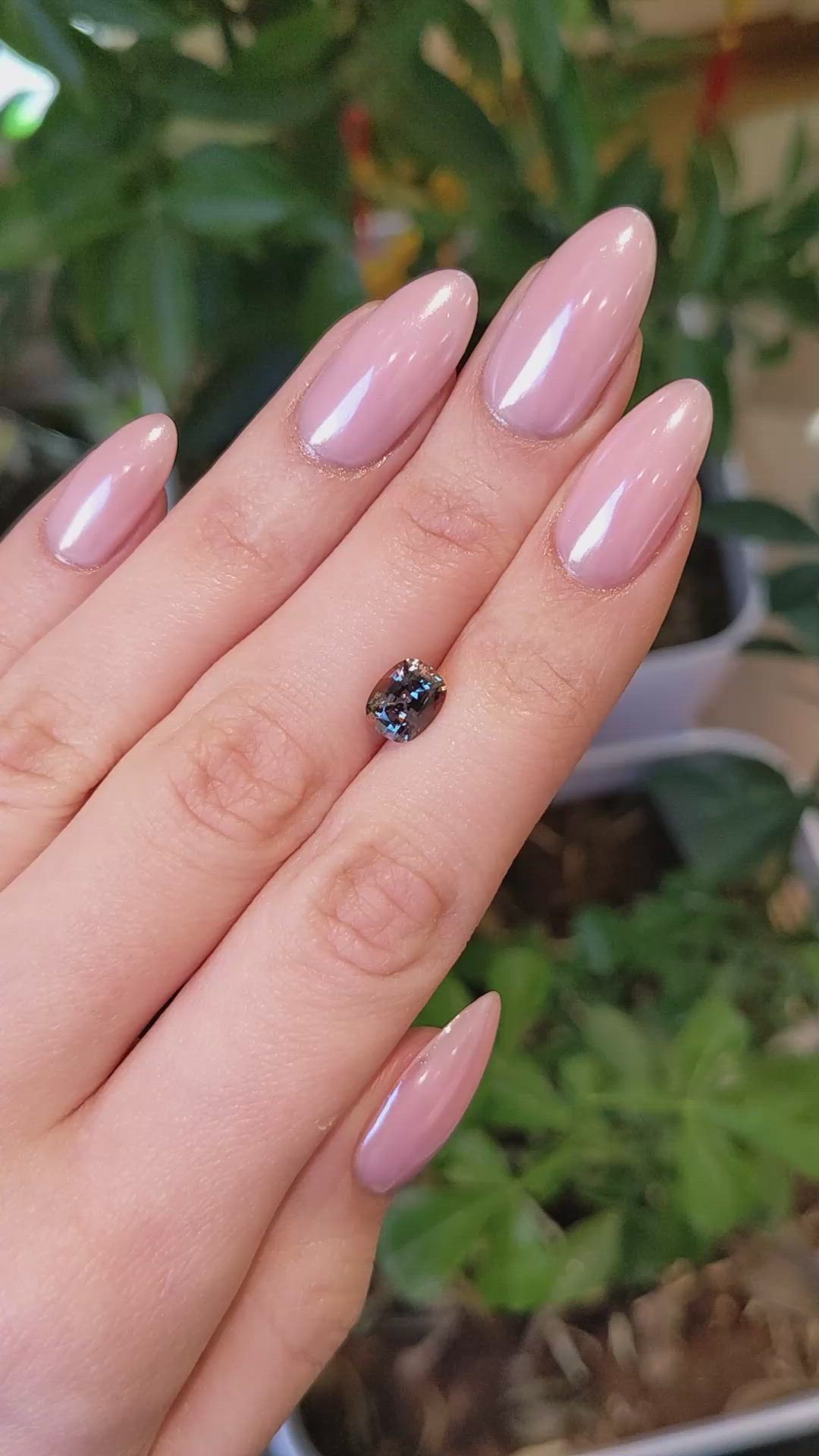1.78 Ct. Bi Color Sapphire from Ceylon (Sri Lanka) Size Video