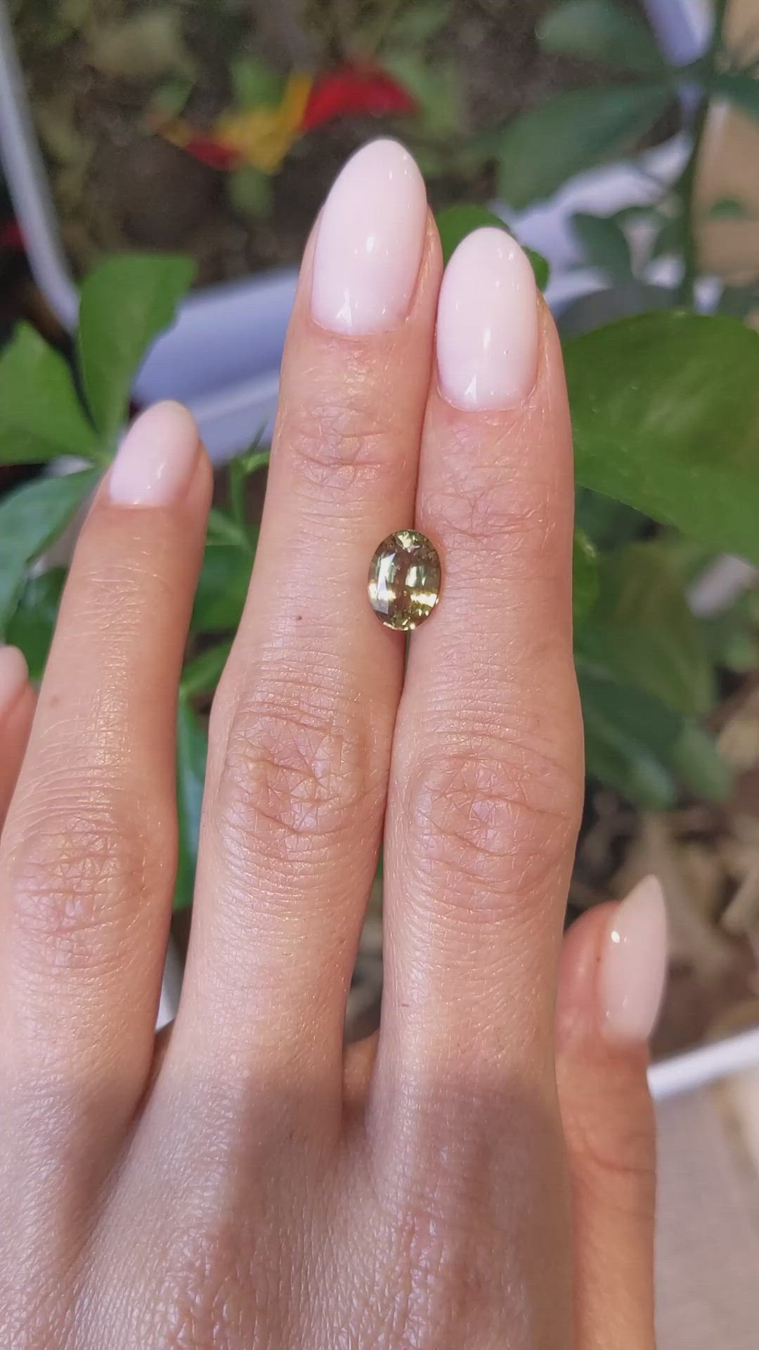 1.82 Ct. Yellowish Green Sapphire from Ceylon (Sri Lanka) Size Video