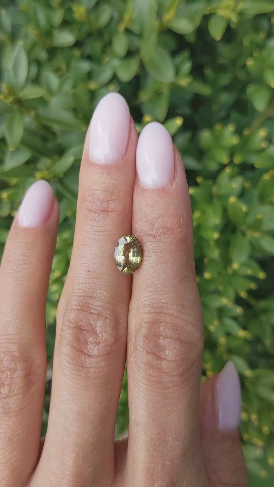 1.82 Ct. Yellowish Green Sapphire from Ceylon (Sri Lanka) Size Video