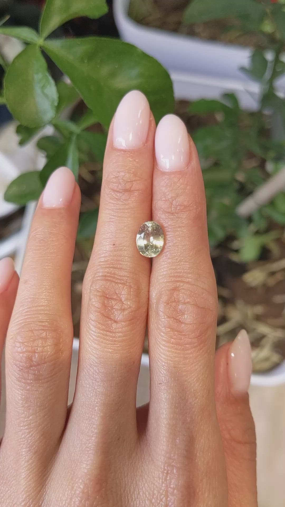 2.59 Ct. Yellowish Green Sapphire from Ceylon (Sri Lanka) Size Video