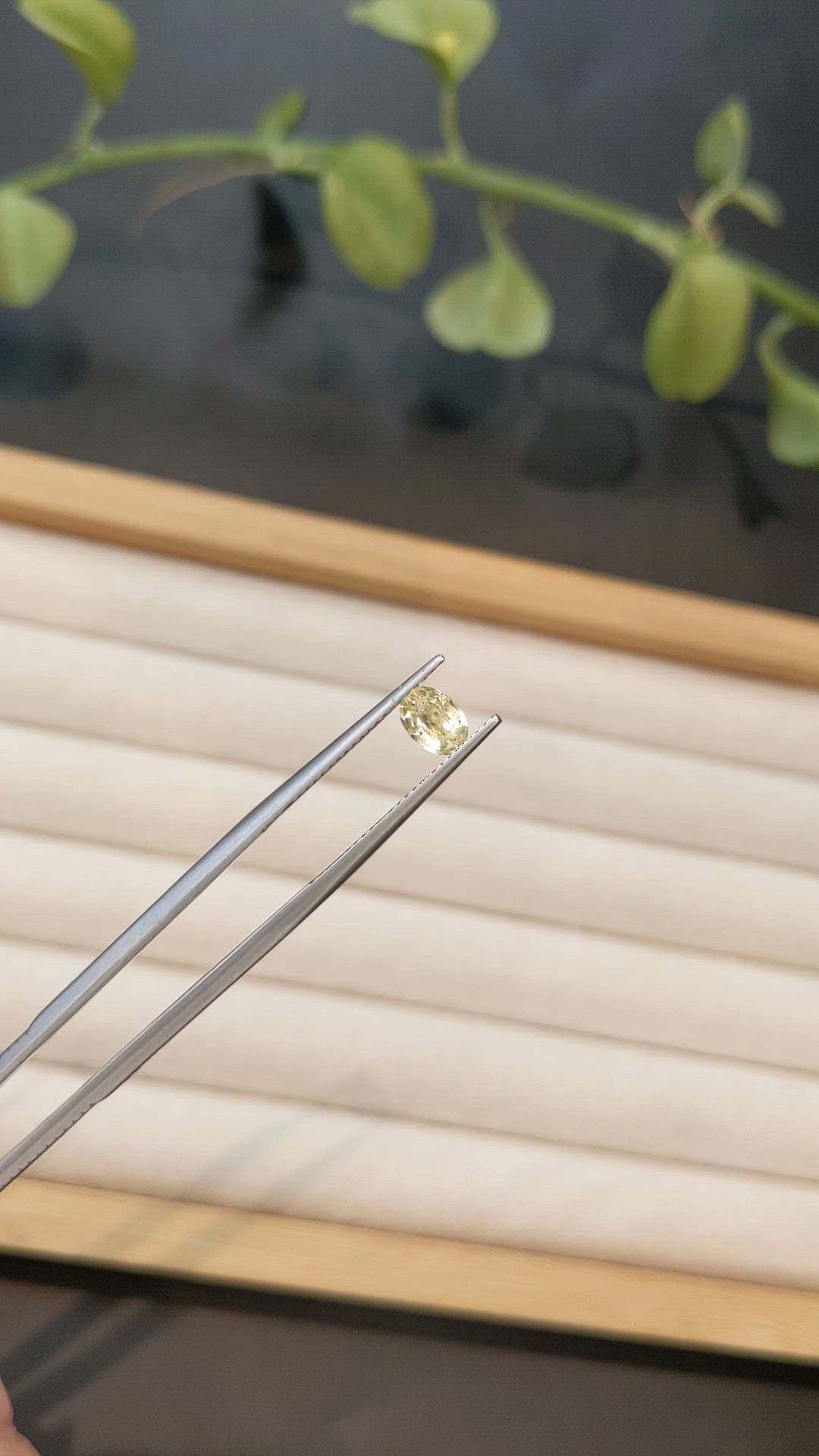 0.71 Ct. Yellow Sapphire from Ceylon (Sri Lanka) Size Video
