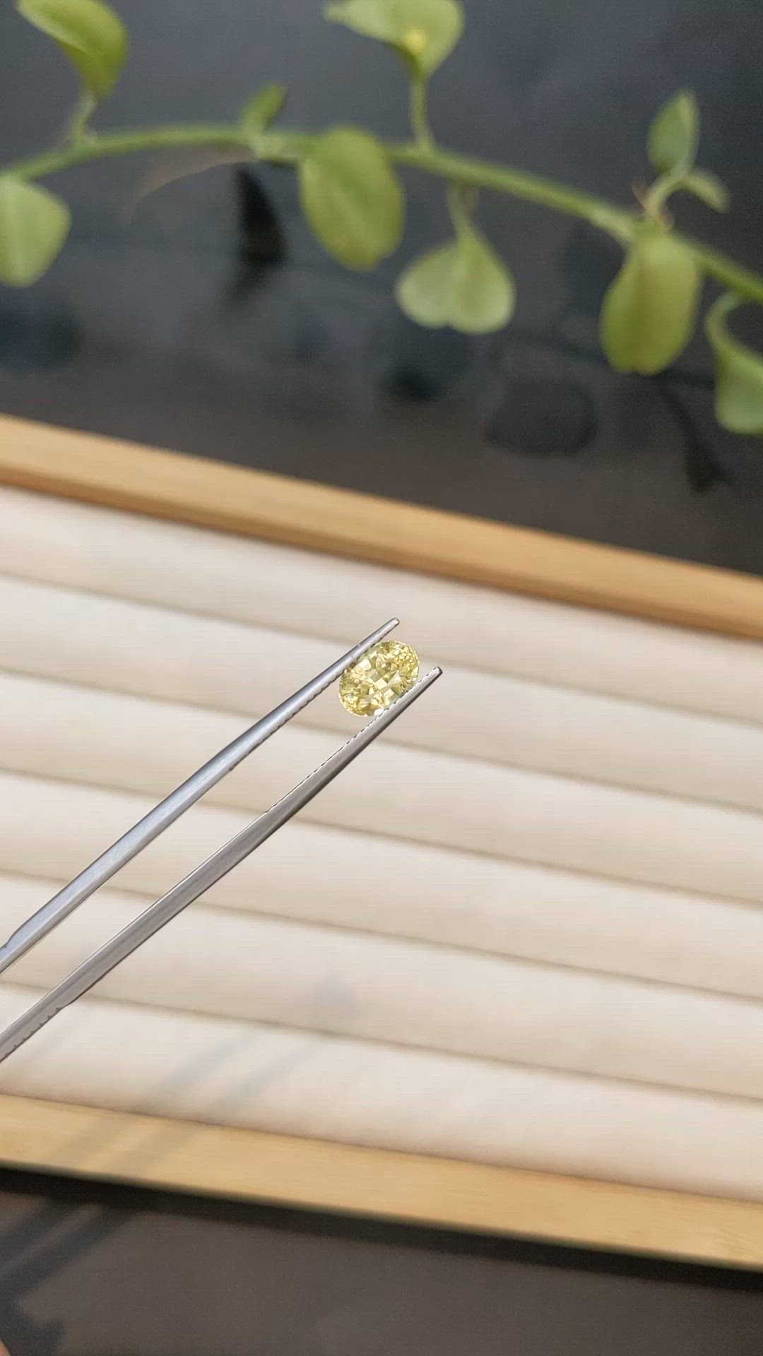 1.68 Ct. Yellow Sapphire from Ceylon (Sri Lanka) Size Video