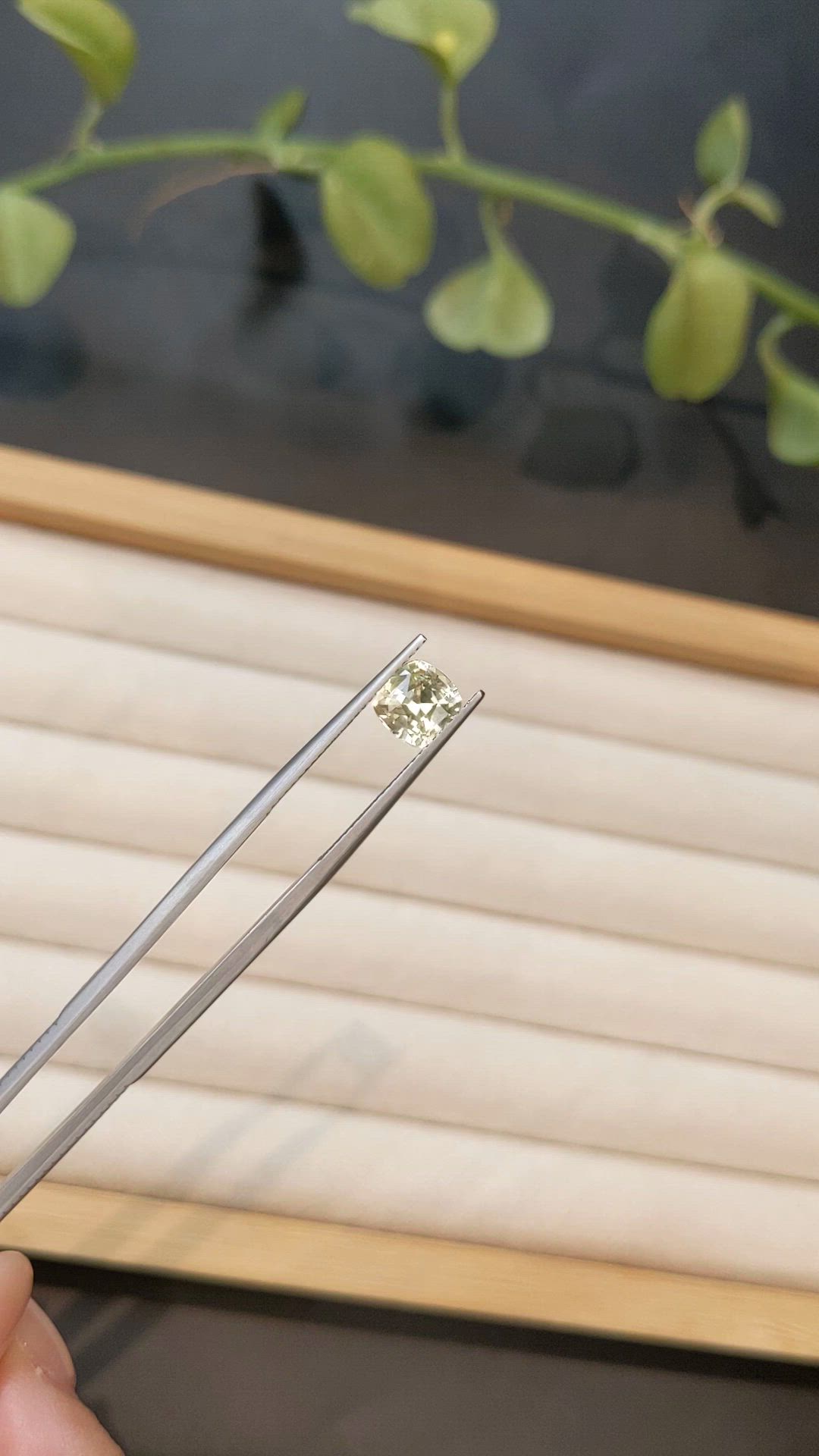 1.81 Ct. Yellow Sapphire from Ceylon (Sri Lanka) Size Video