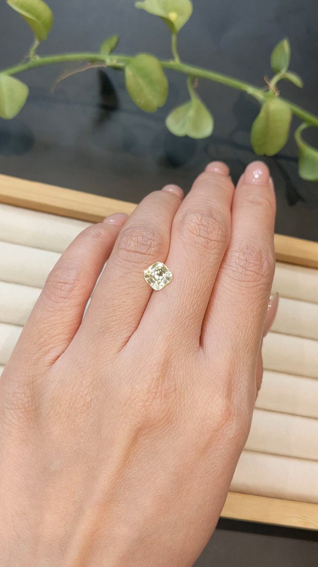 1.81 Ct. Yellow Sapphire from Ceylon (Sri Lanka) Size Video