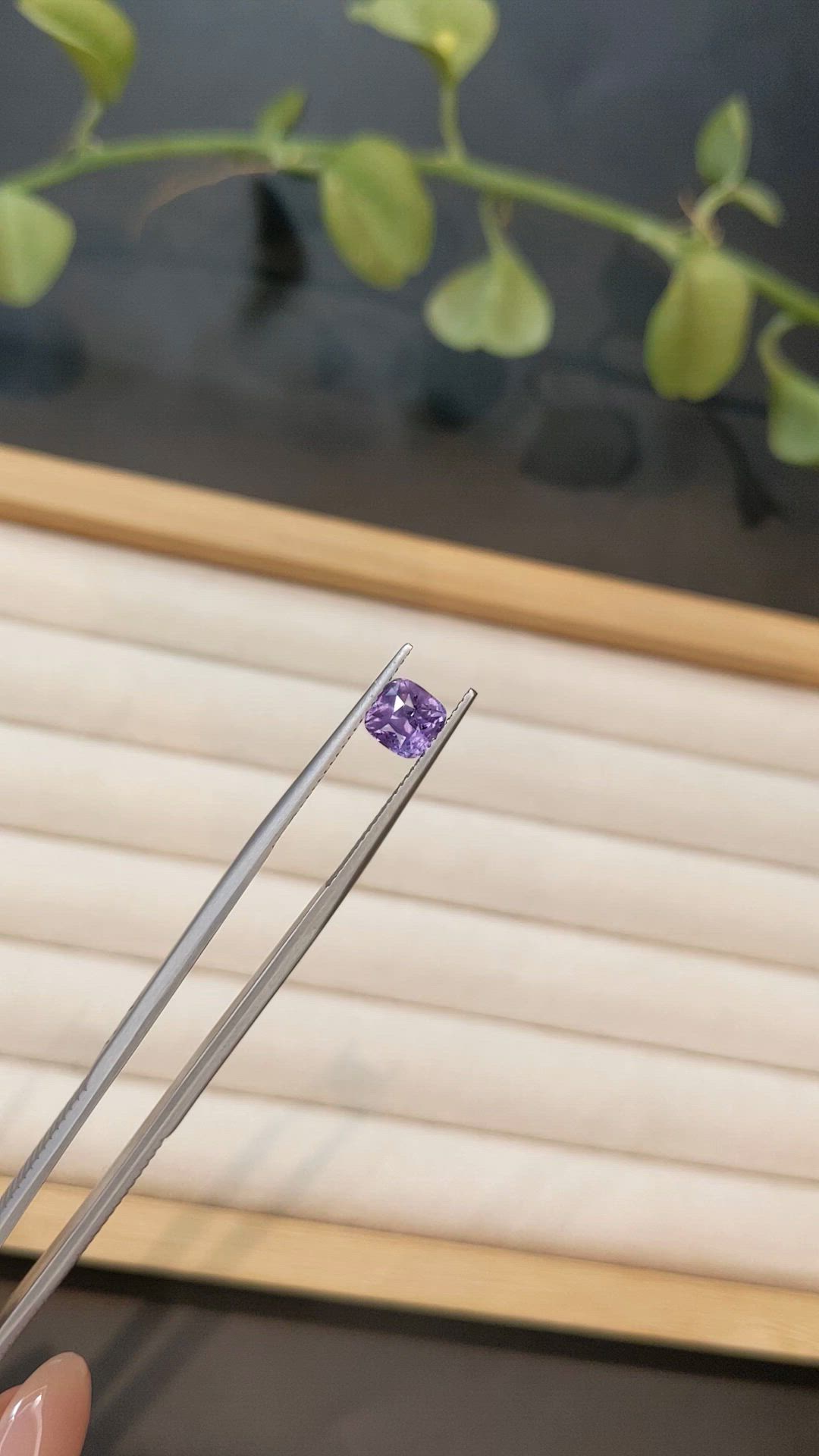 1.70 Ct. Purple Sapphire from Ceylon (Sri Lanka) Size Video