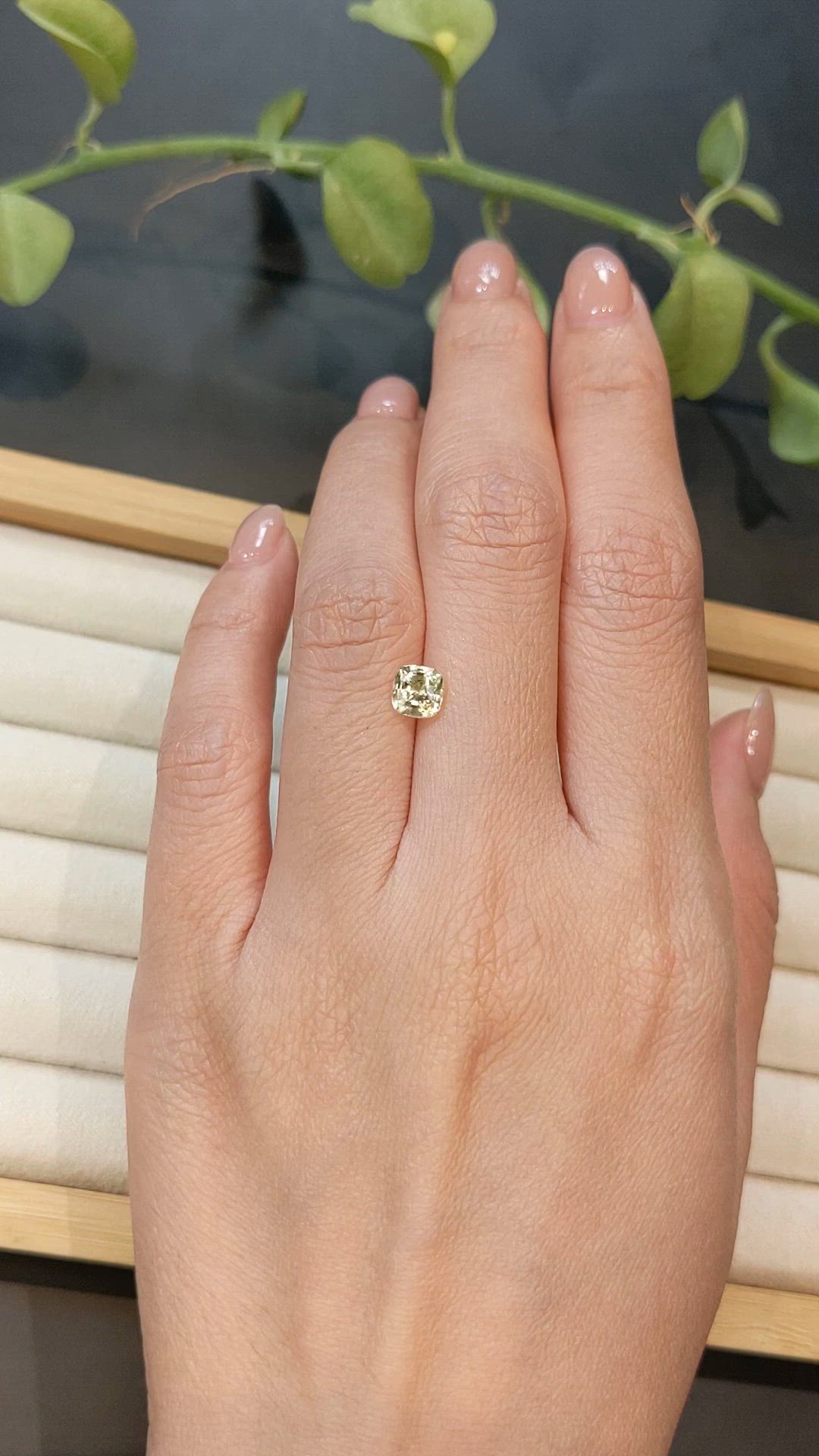 1.14 Ct. Yellow Sapphire from Ceylon (Sri Lanka) Size Video