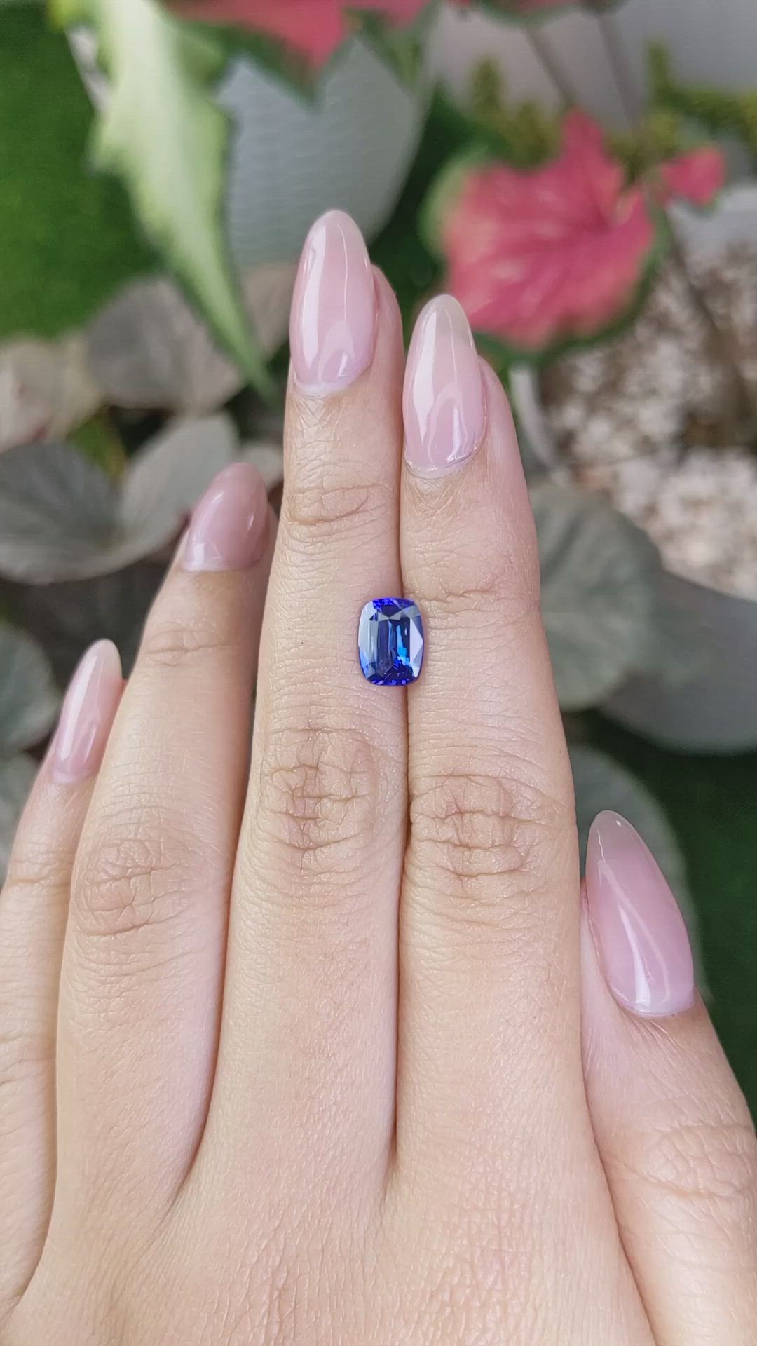 1.69 Ct. Blue Sapphire from Ceylon (Sri Lanka) Size Video