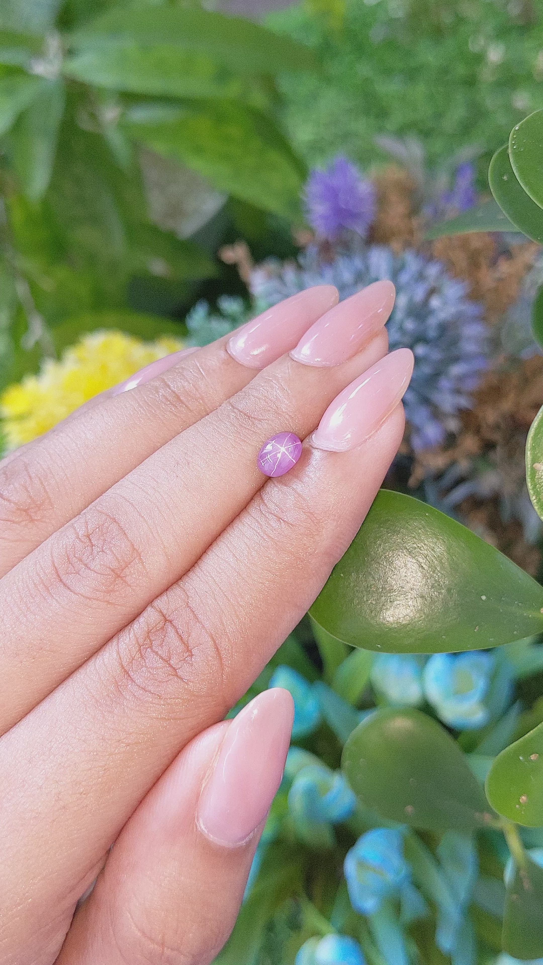 1.41 Ct. Pink Star Sapphire from Ceylon (Sri Lanka) Size Video