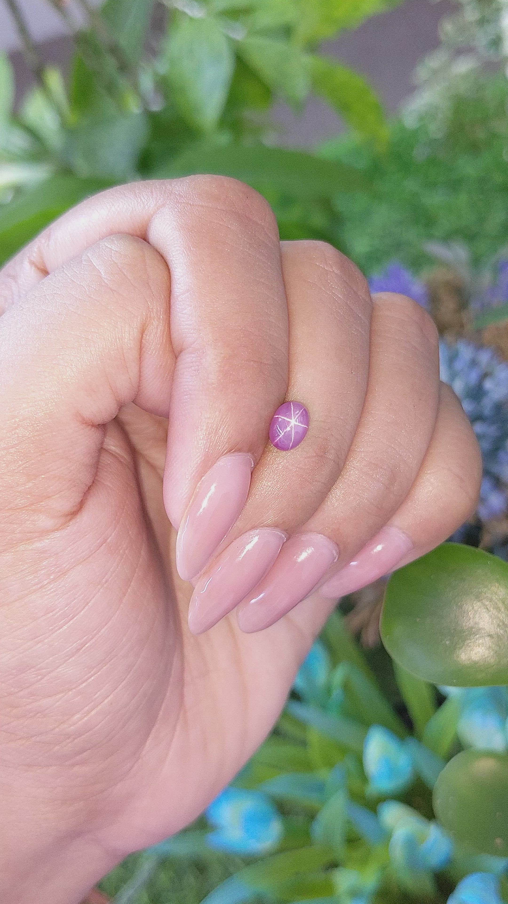 1.41 Ct. Pink Star Sapphire from Ceylon (Sri Lanka) Size Video