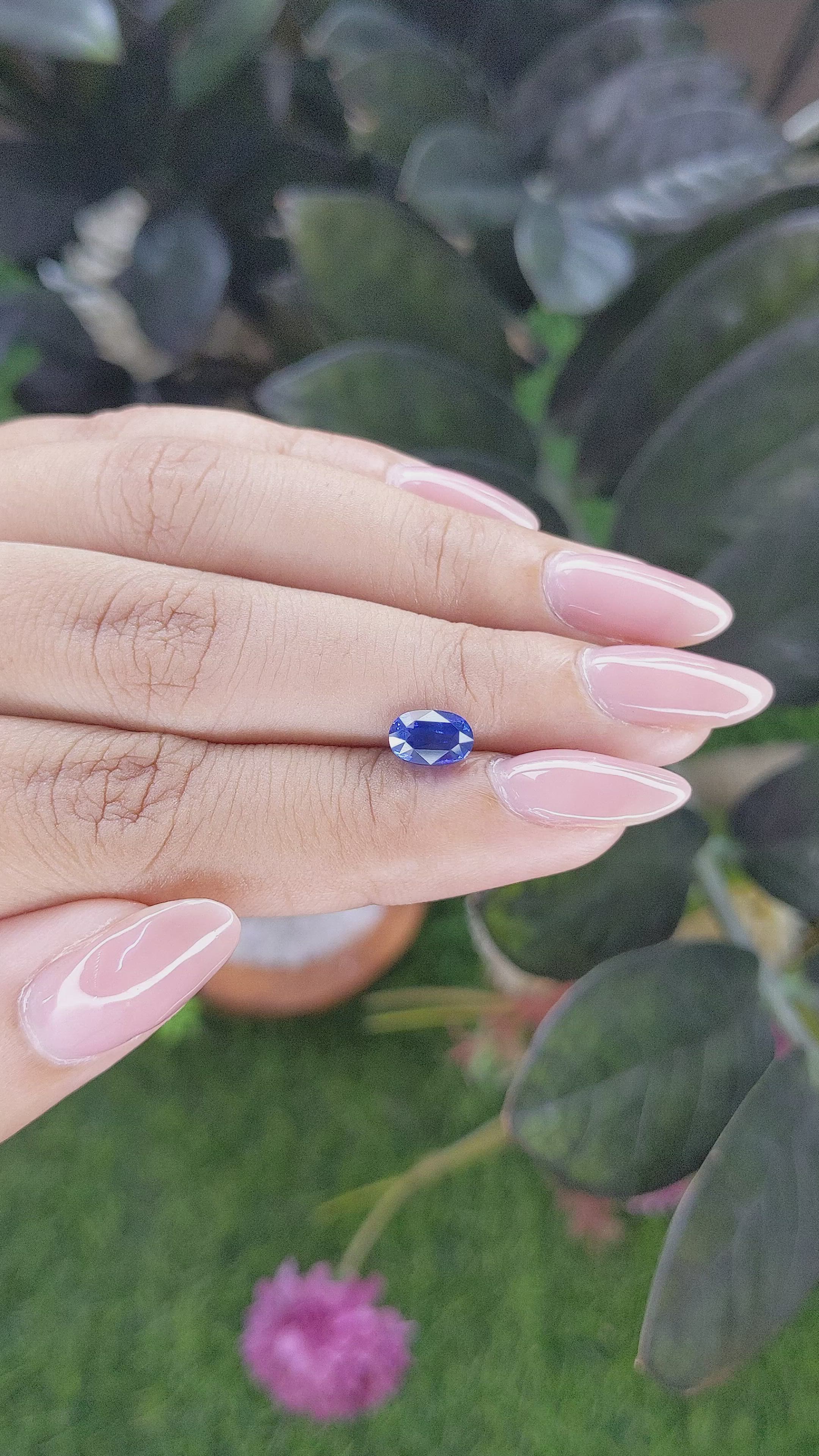 1.45 Ct. Blue Sapphire from Madagascar Size Video