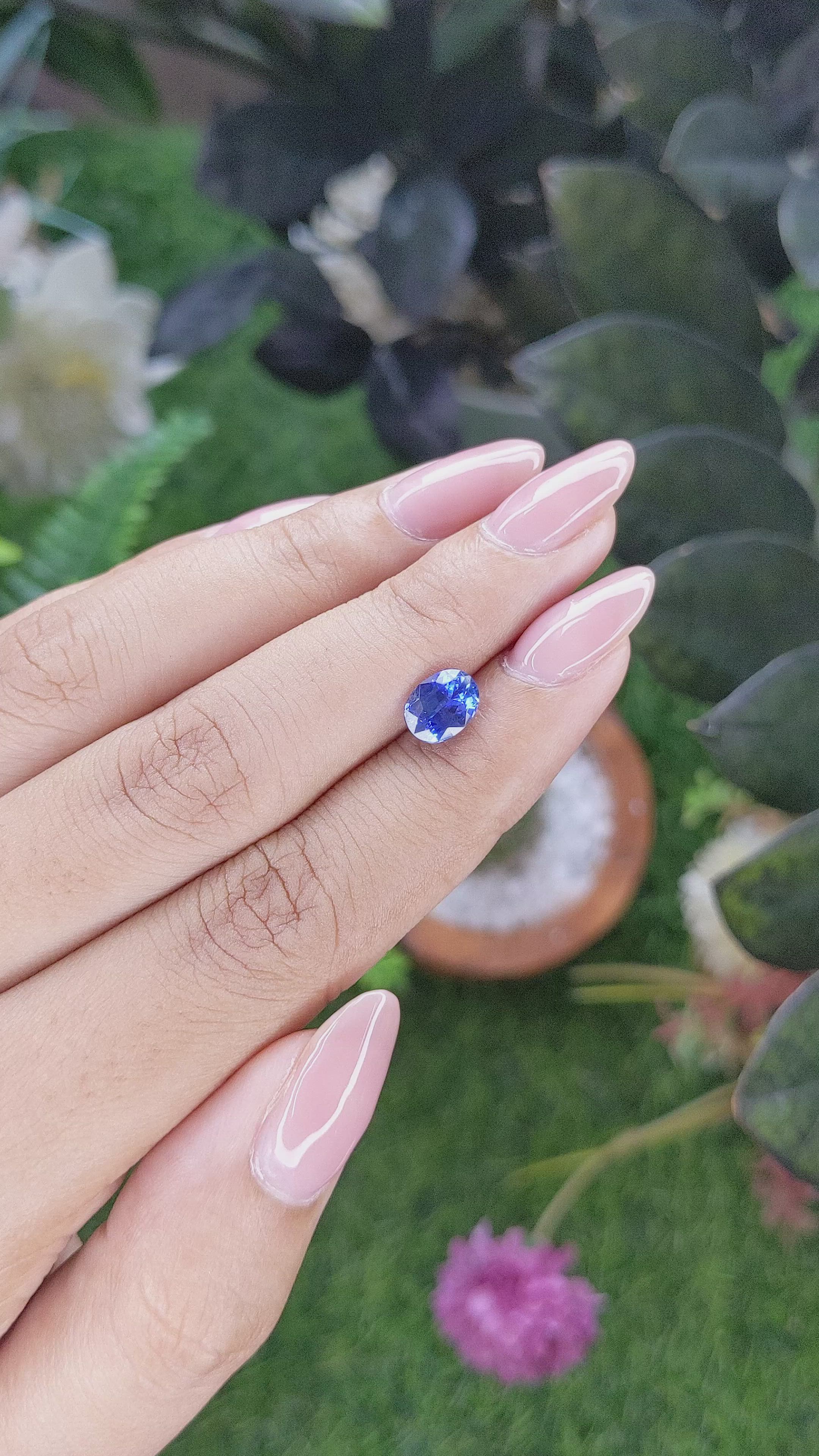 1.71 Ct. Blue Sapphire from Ceylon (Sri Lanka) Size Video