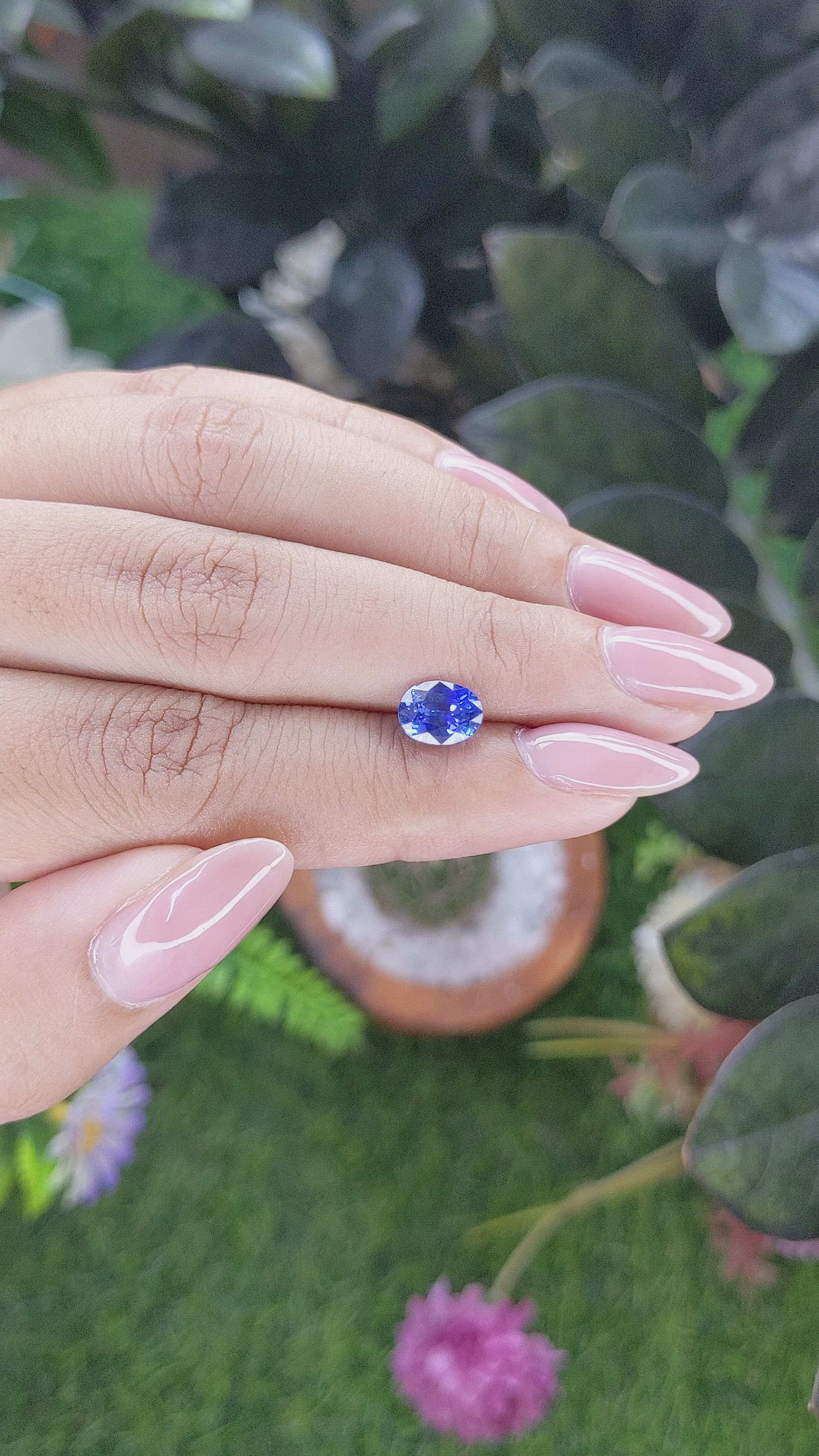 1.71 Ct. Blue Sapphire from Ceylon (Sri Lanka) Size Video
