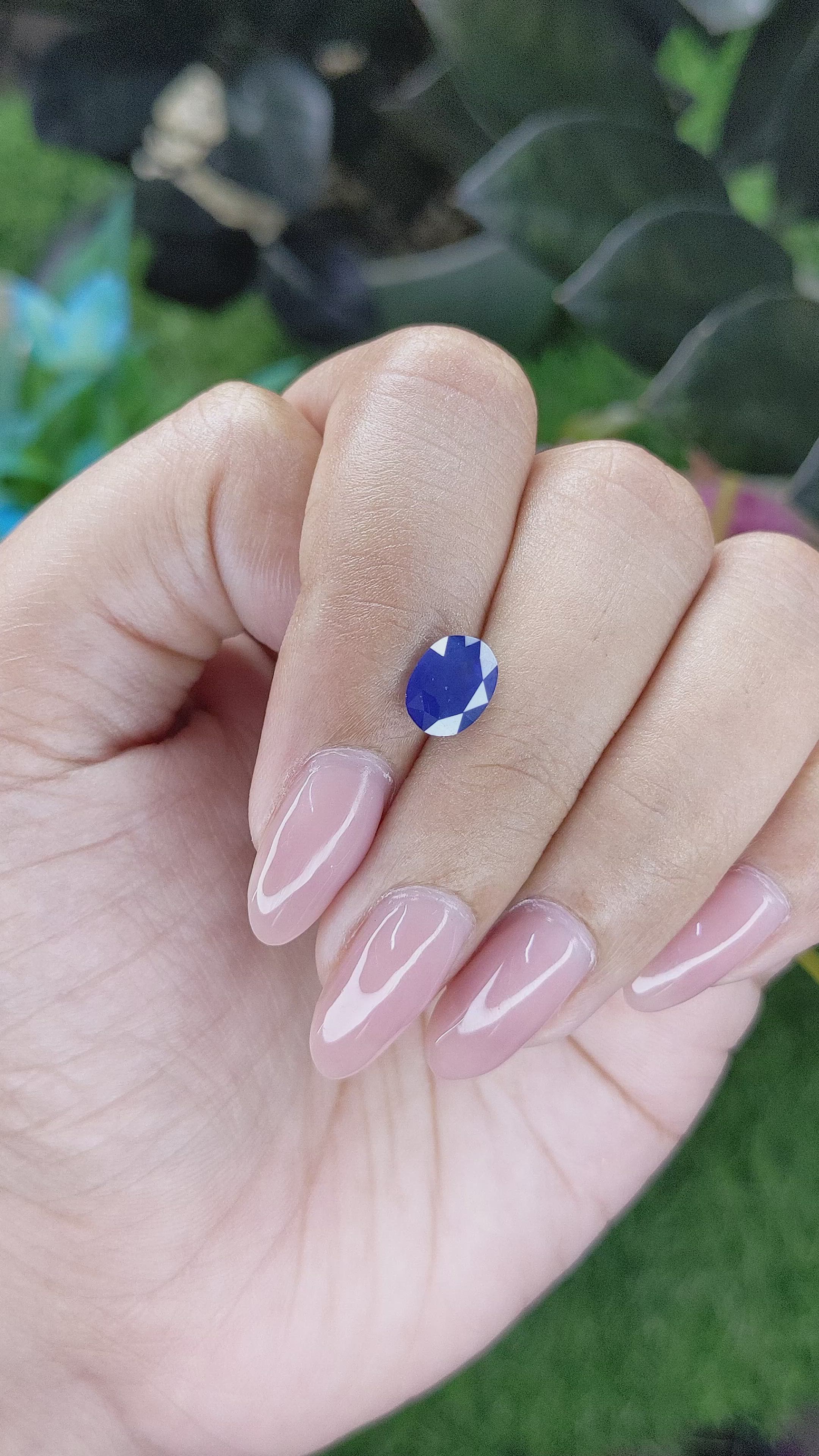 1.61 Ct. Blue Sapphire from Ceylon (Sri Lanka) Size Video