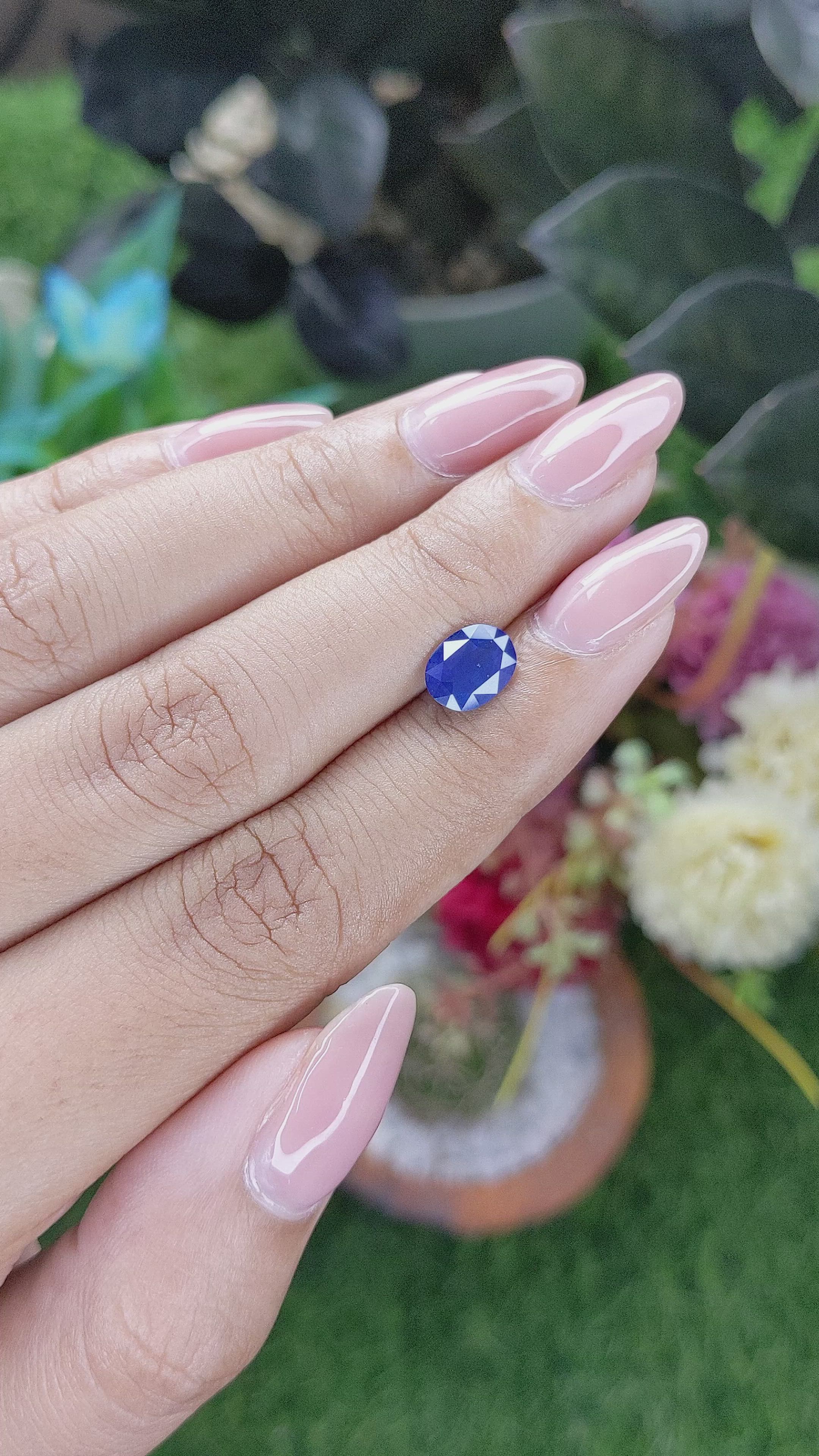 1.61 Ct. Blue Sapphire from Ceylon (Sri Lanka) Size Video