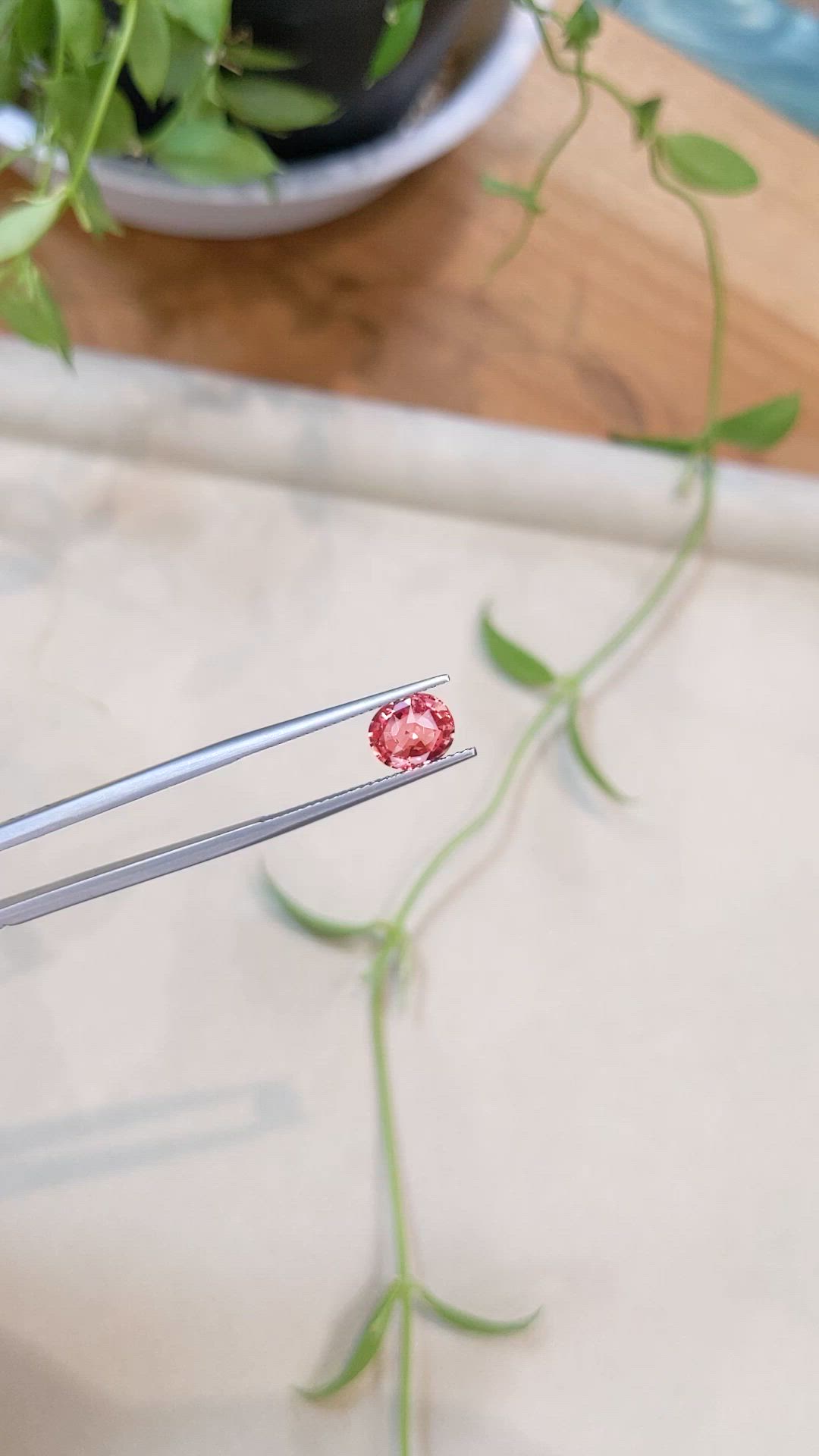 1.60 Ct. Padparadscha Sapphire from Ceylon (Sri Lanka) Size Video