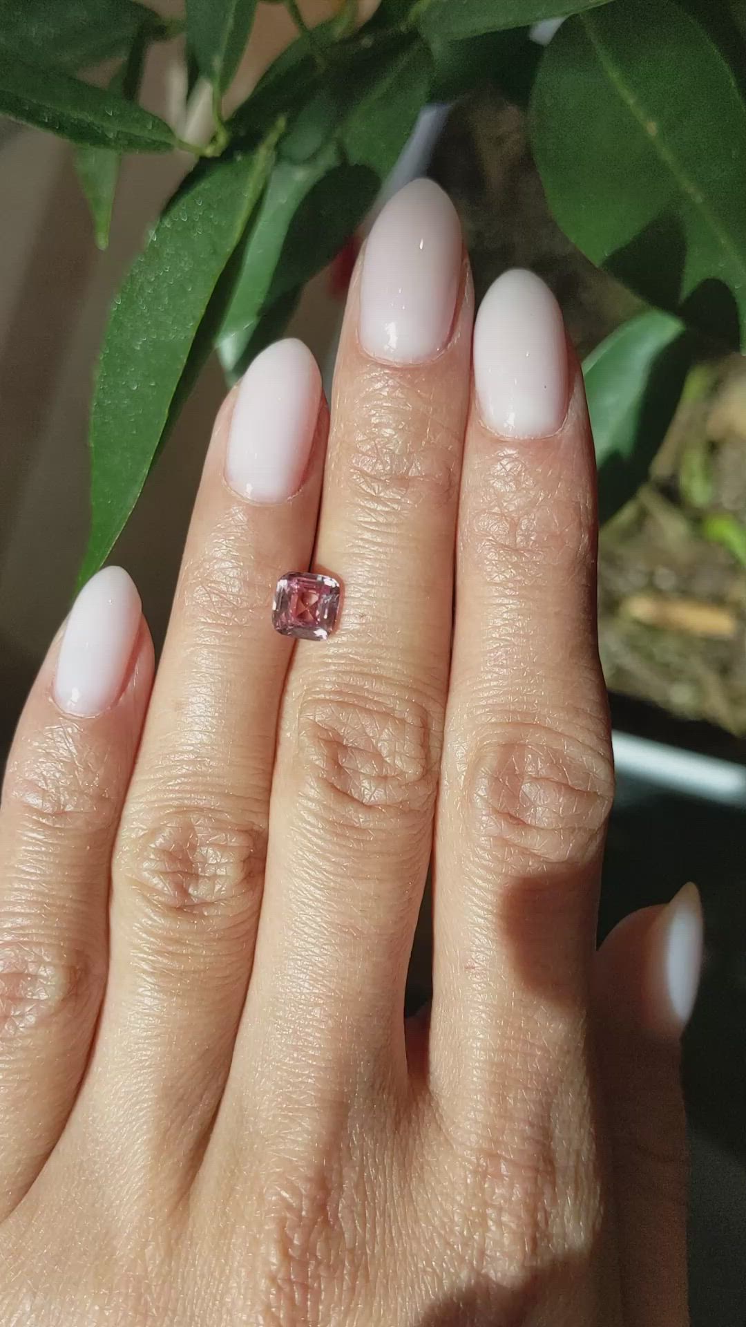 1.63 Ct. Padparadscha Sapphire from Ceylon (Sri Lanka) Size Video