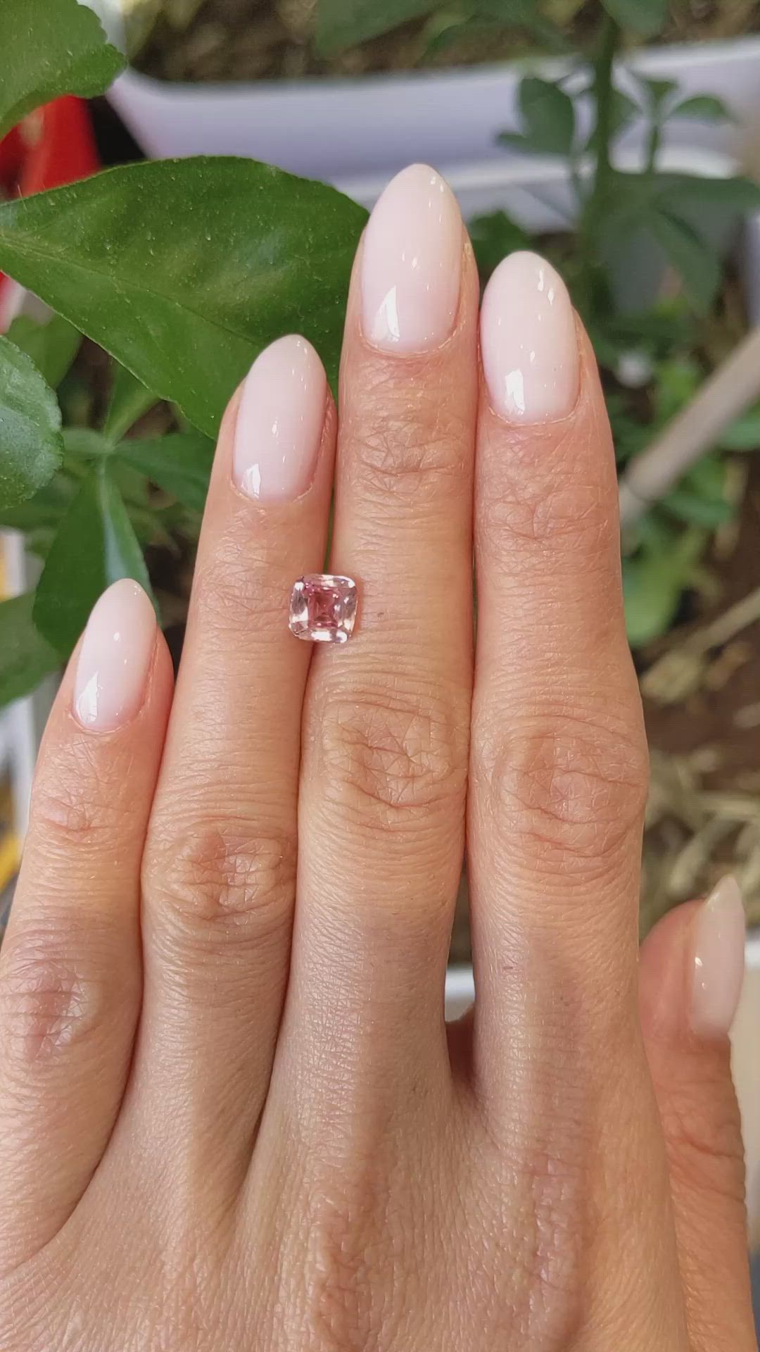 1.63 Ct. Padparadscha Sapphire from Ceylon (Sri Lanka) Size Video