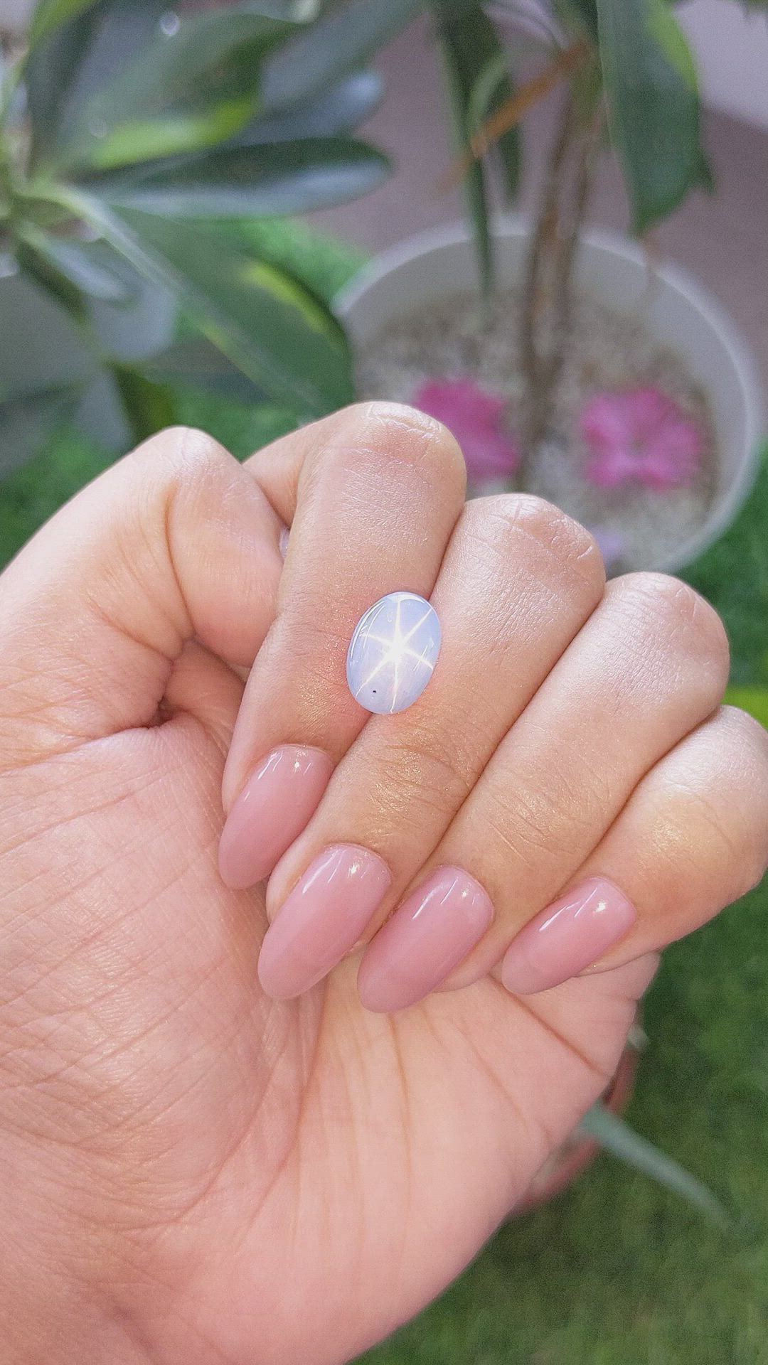 7.66 Ct. Bluish Grey Star Sapphire from Ceylon (Sri Lanka) Size Video