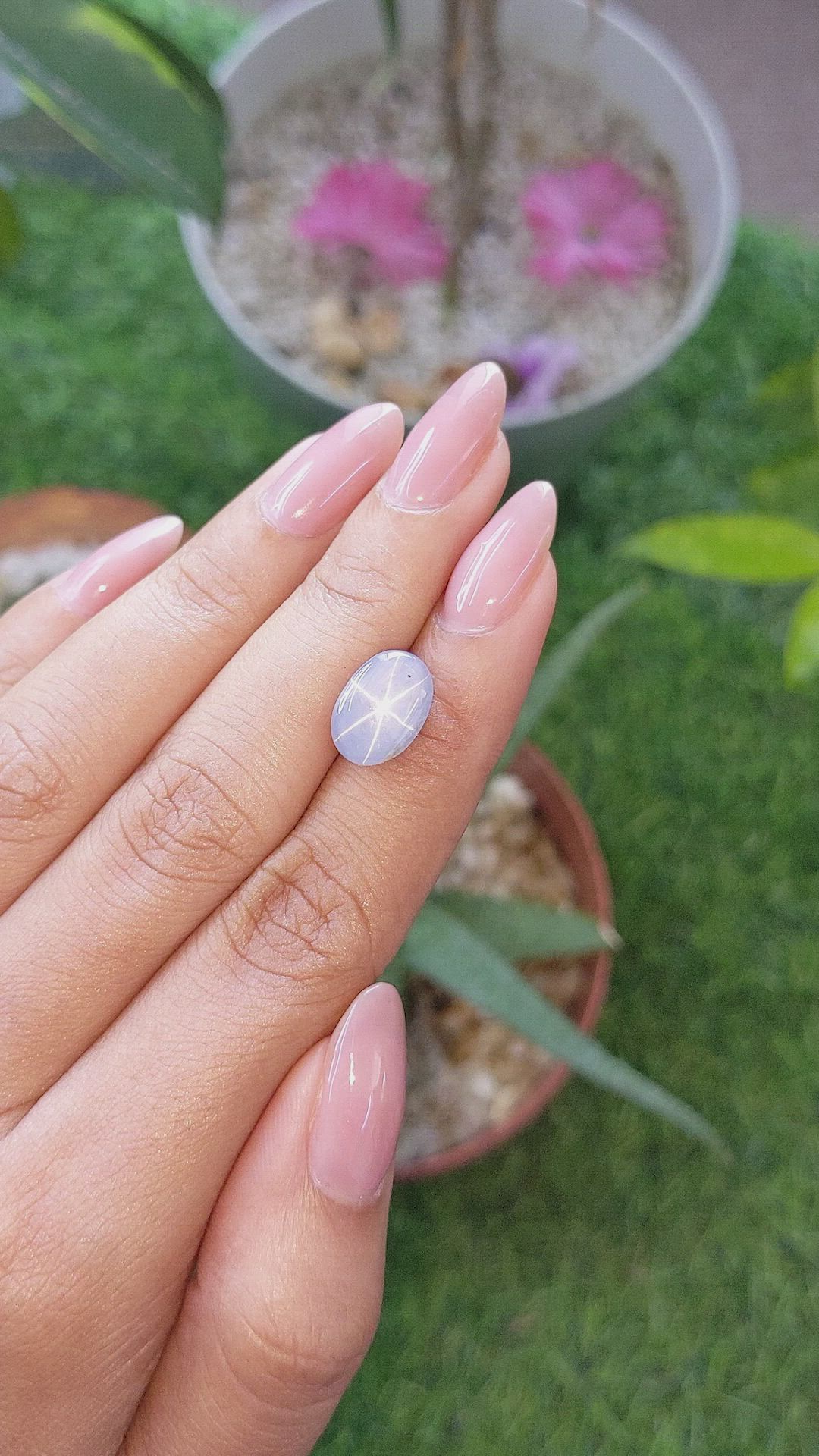 7.66 Ct. Bluish Grey Star Sapphire from Ceylon (Sri Lanka) Size Video