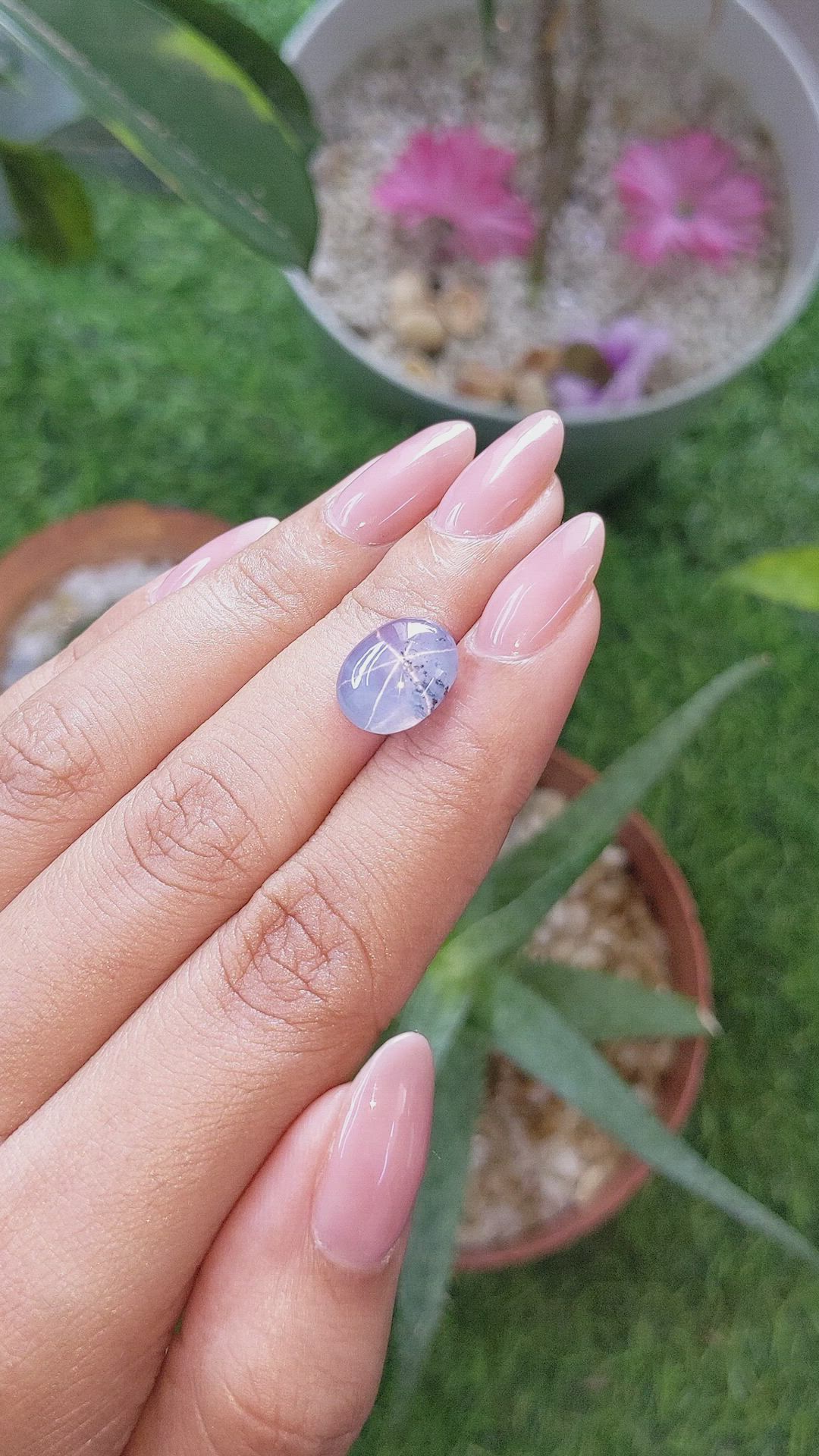 7.05 Ct. Bi Color Star Sapphire from Ceylon (Sri Lanka) Size Video