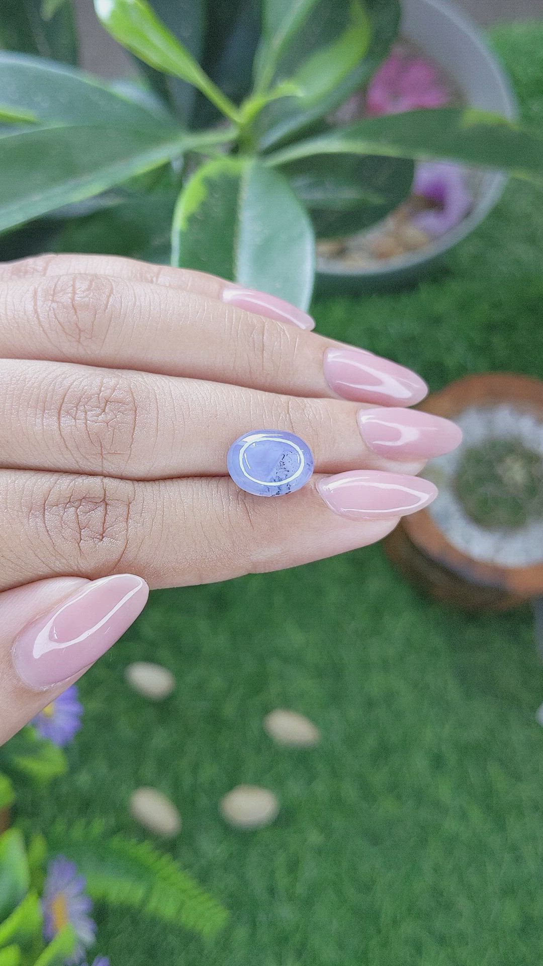 7.05 Ct. Bi Color Star Sapphire from Ceylon (Sri Lanka) Size Video