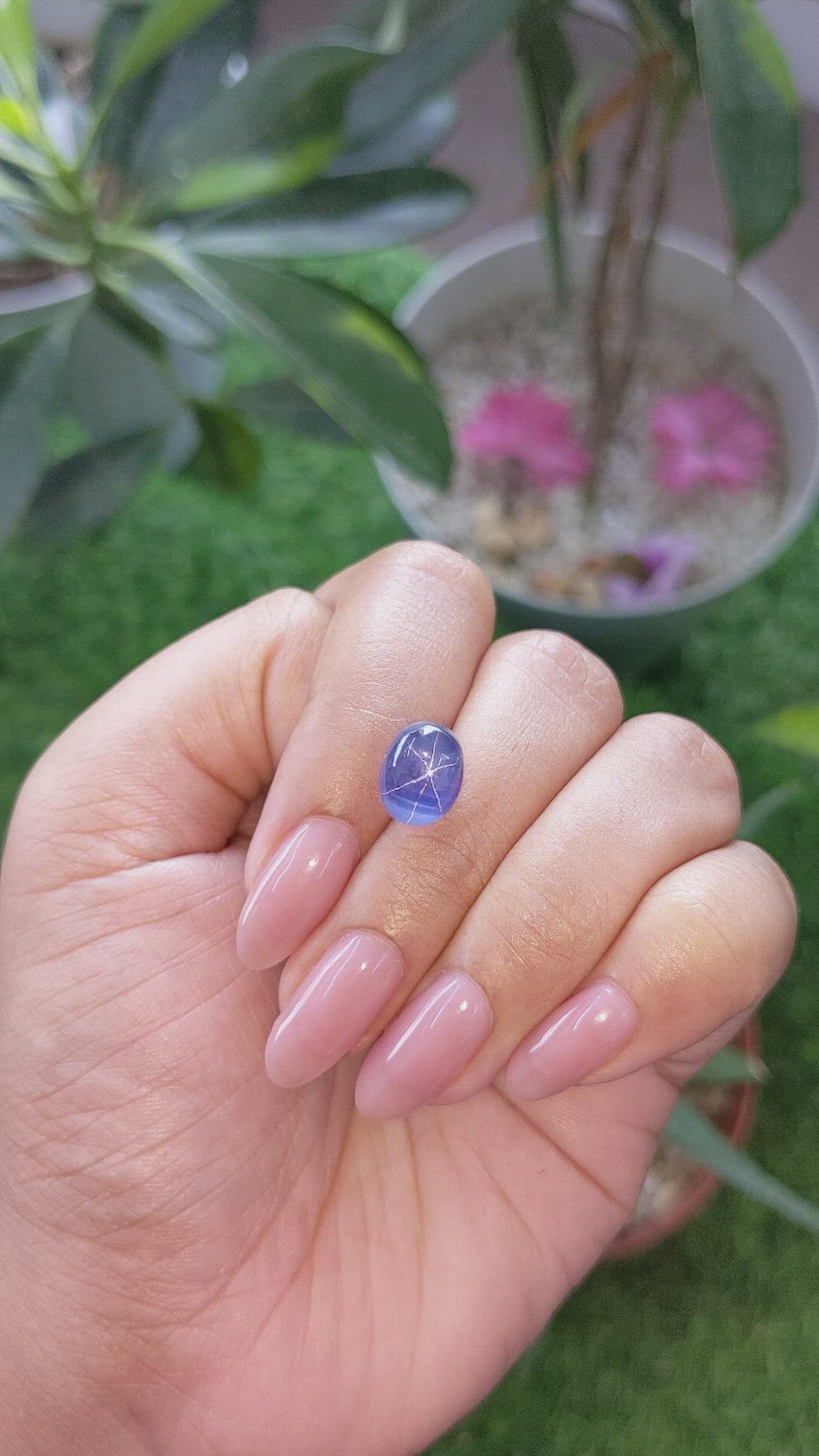 7.93 Ct. Blue Star Sapphire from Ceylon (Sri Lanka) Size Video
