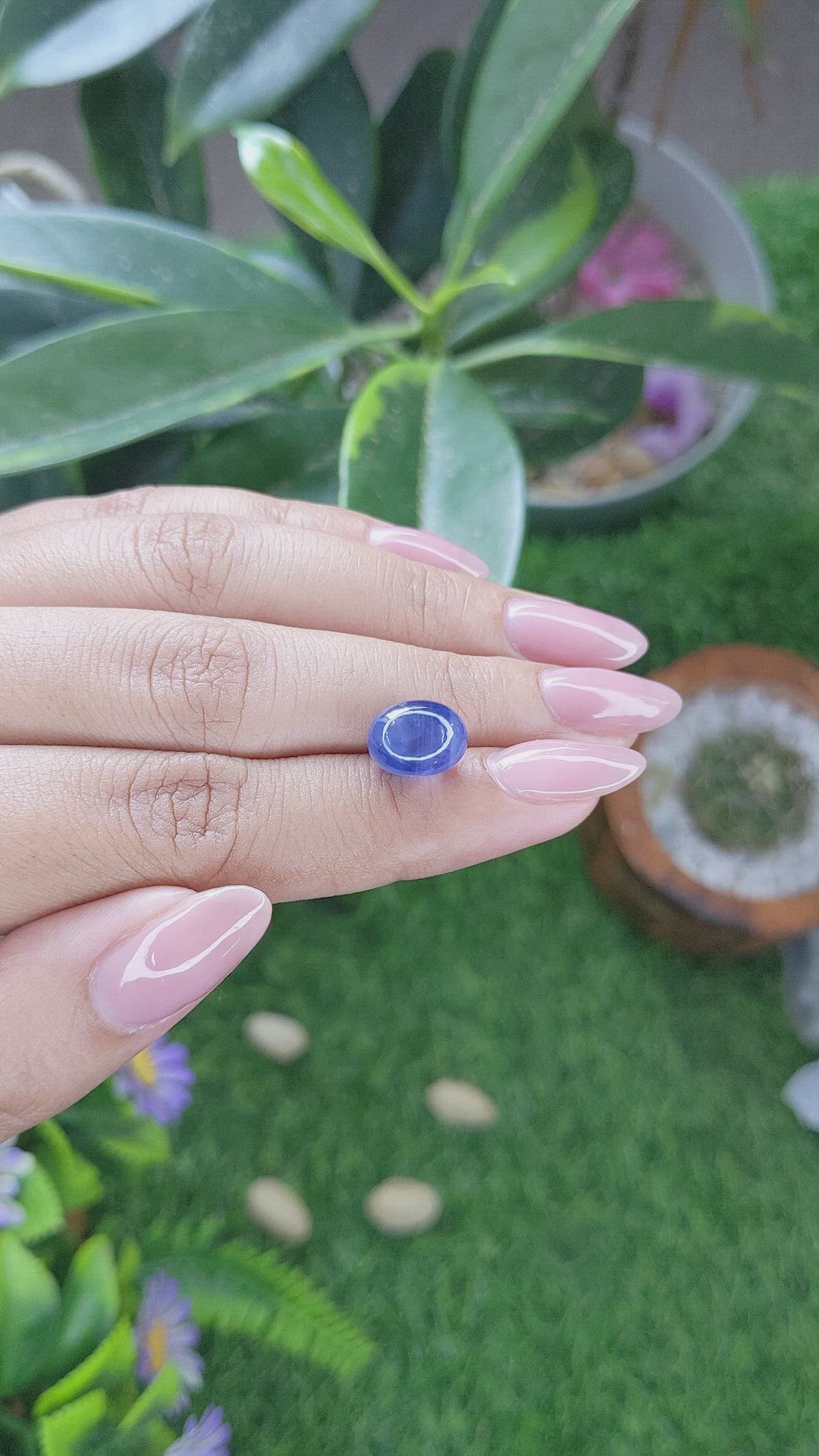 7.93 Ct. Blue Star Sapphire from Ceylon (Sri Lanka) Size Video