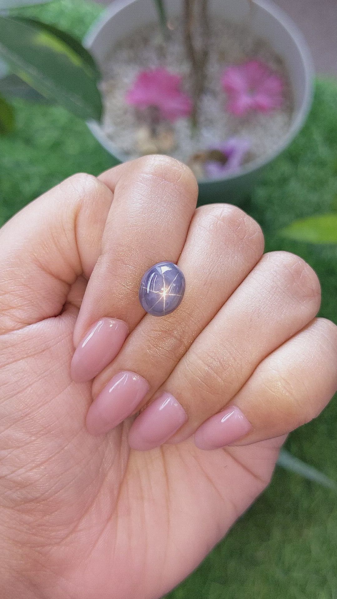 8.75 Ct. Bluish Grey Star Sapphire from Ceylon (Sri Lanka) Size Video