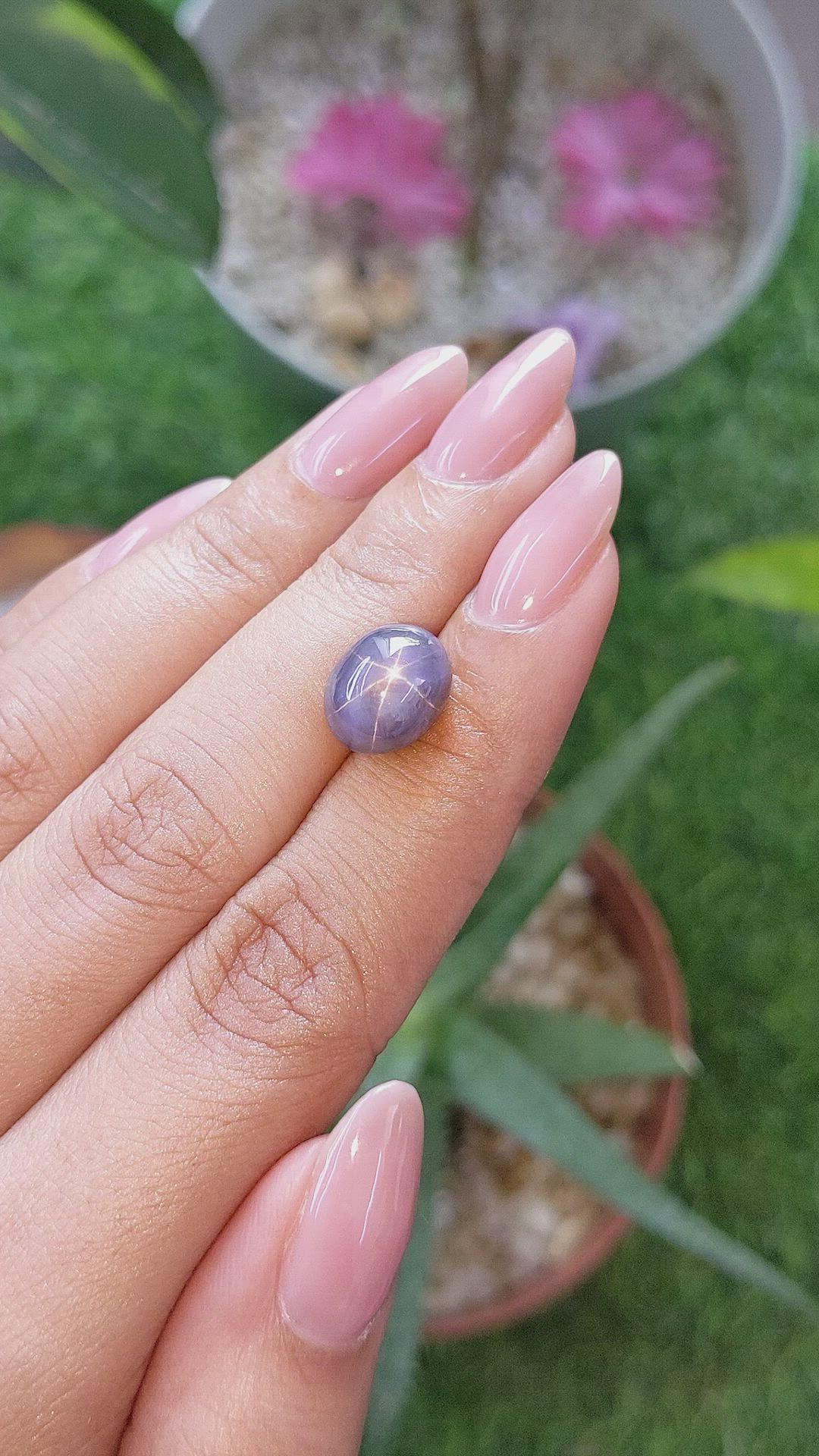8.75 Ct. Bluish Grey Star Sapphire from Ceylon (Sri Lanka) Size Video
