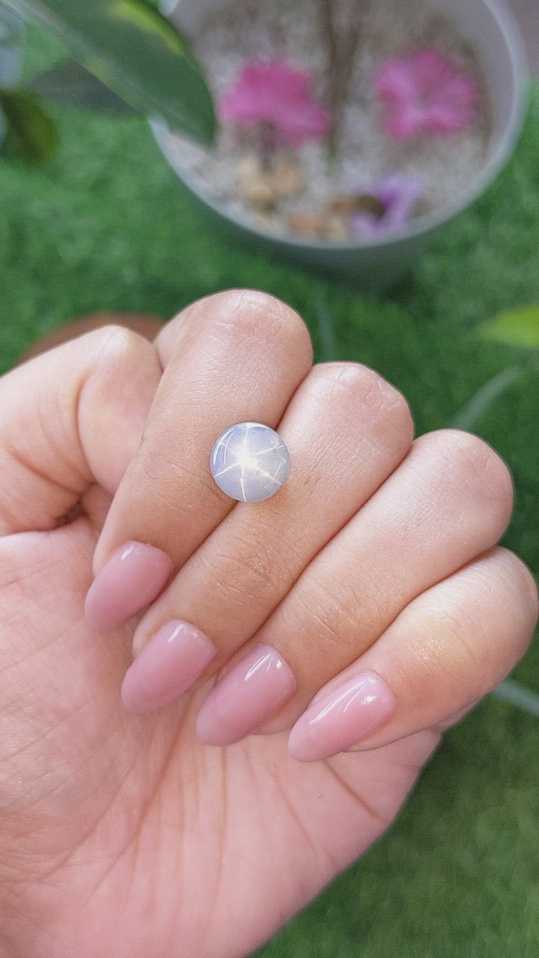 6.70 Ct. Grey Star Sapphire from Ceylon (Sri Lanka) Size Video