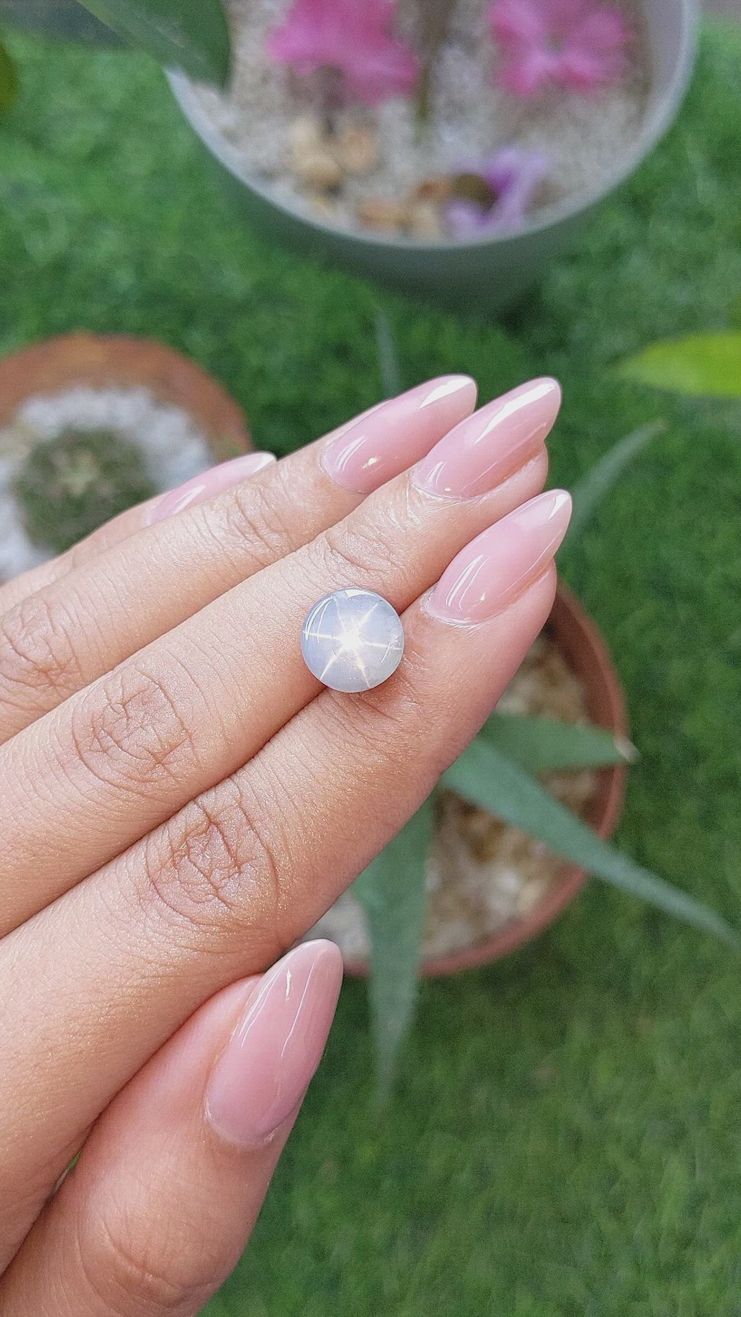 6.70 Ct. Grey Star Sapphire from Ceylon (Sri Lanka) Size Video