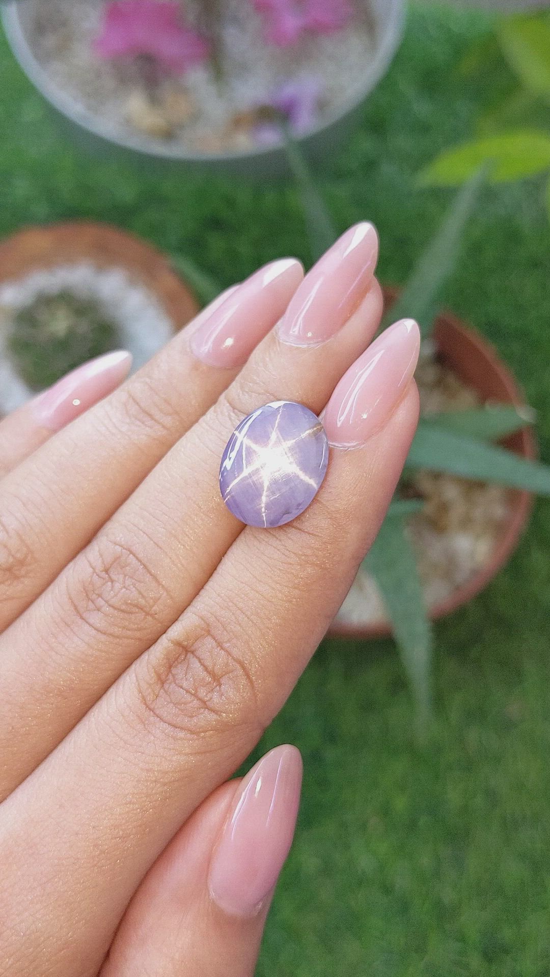 9.45 Ct. Purple Star Sapphire from Ceylon (Sri Lanka) Size Video