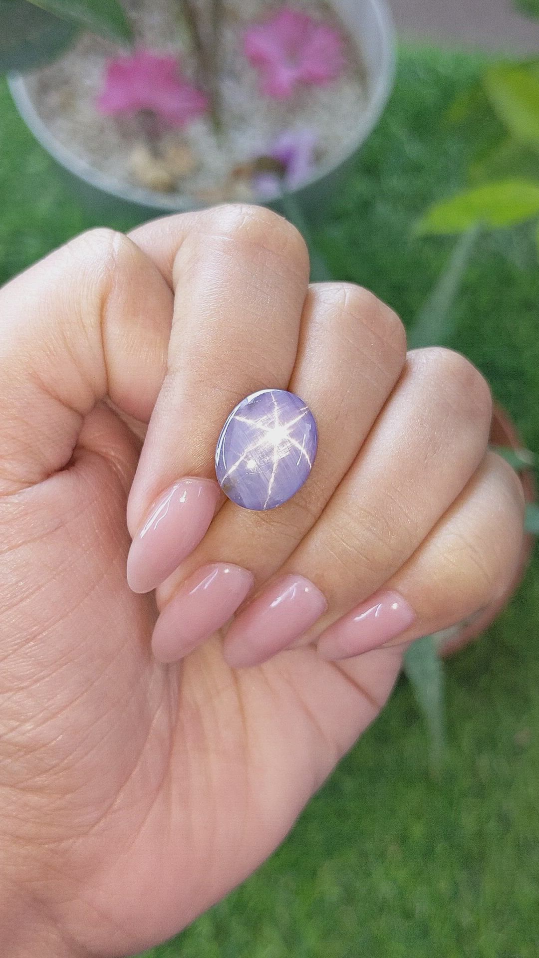 9.45 Ct. Purple Star Sapphire from Ceylon (Sri Lanka) Size Video