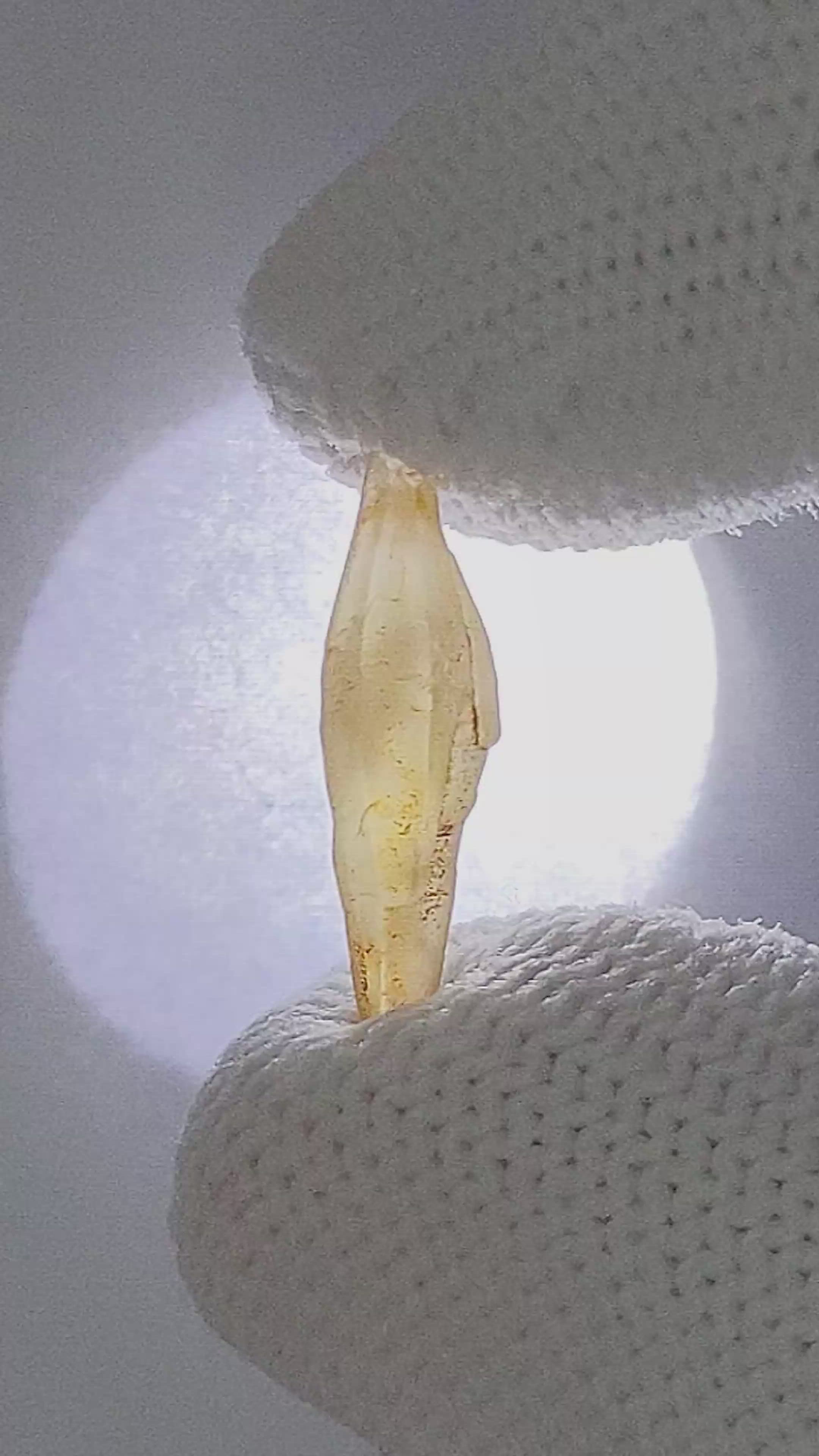 3.15 Ct. Yellow Sapphire from Ceylon (Sri Lanka) Size Video