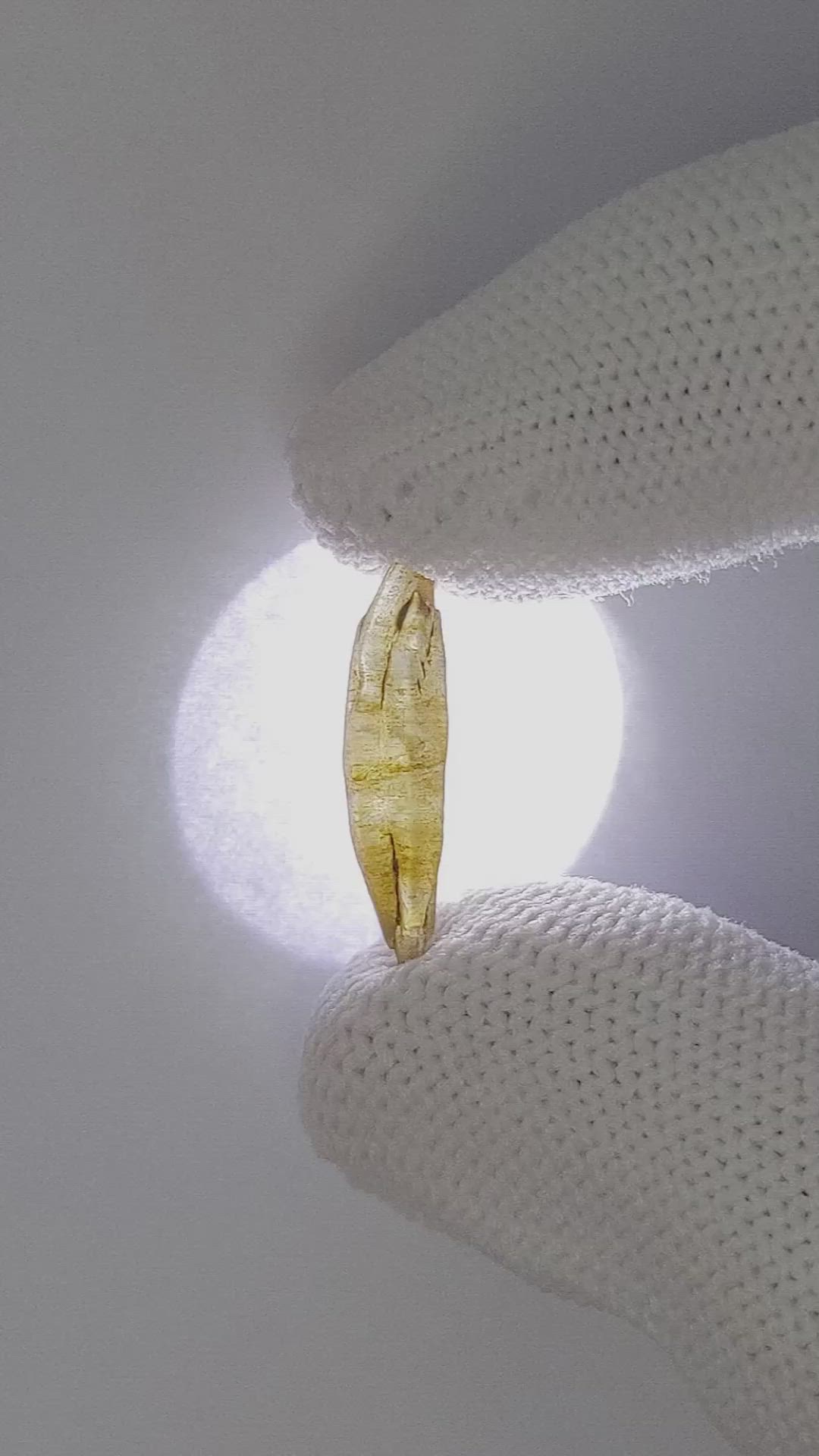 3.58 Ct. Yellow Sapphire from Ceylon (Sri Lanka) Size Video