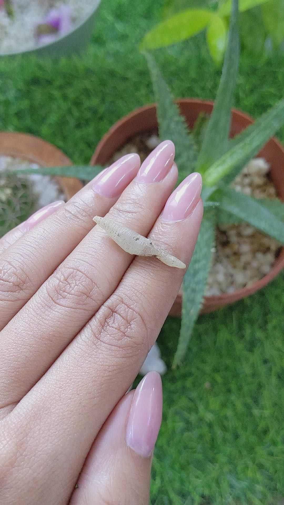 5.51 Ct. White Sapphire from Ceylon (Sri Lanka) Size Video