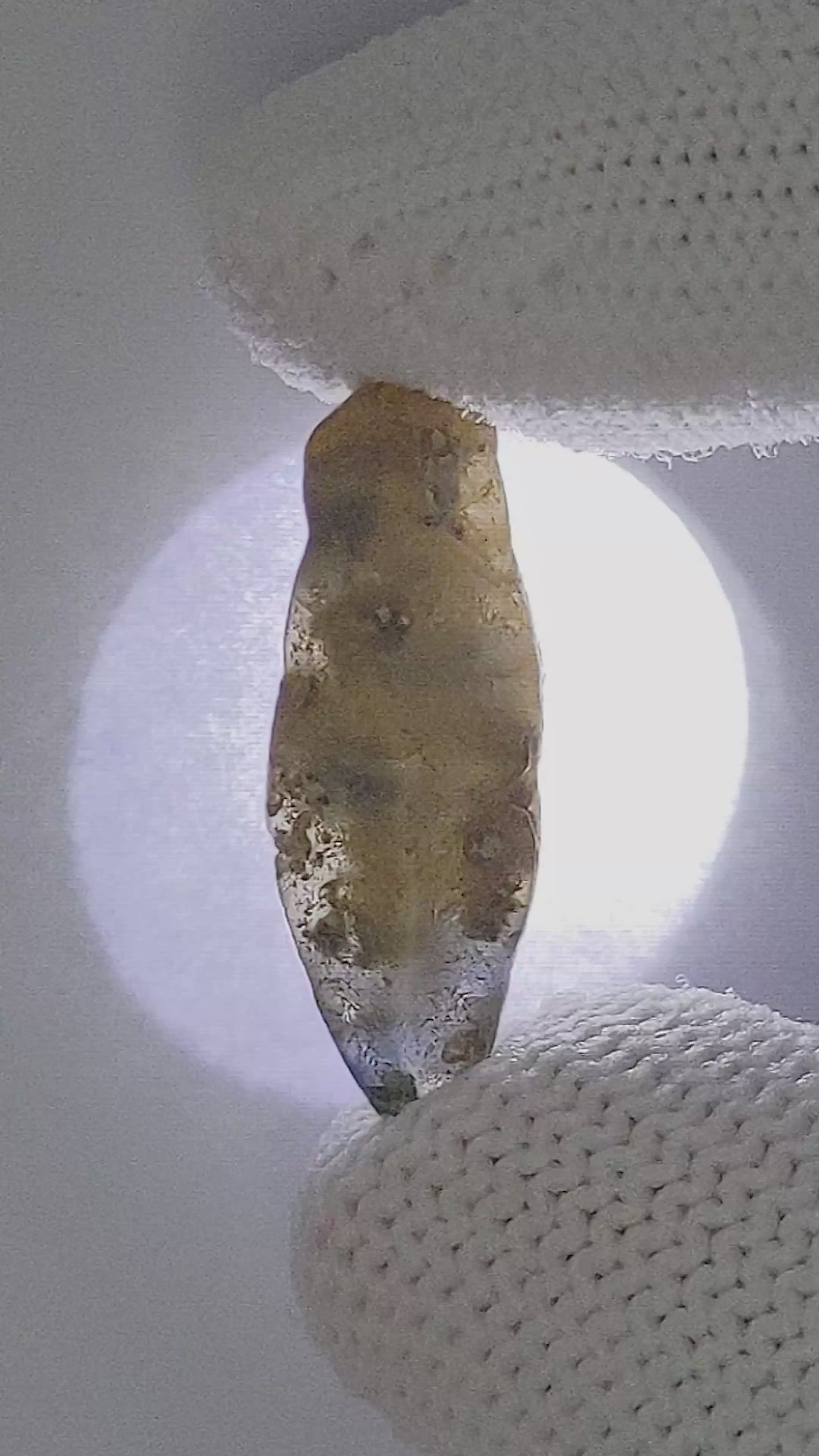 12.71 Ct. Bi Color / Parti Sapphire from Ceylon (Sri Lanka) Size Video