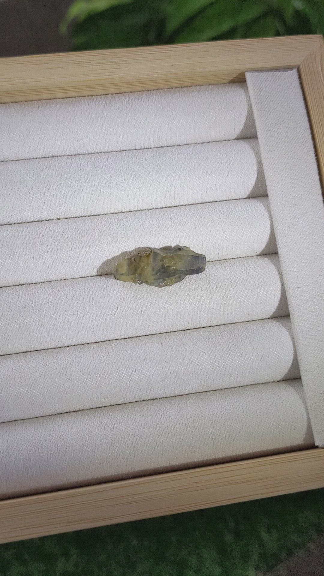 11.64 Ct. Bi Color / Parti Rough Sapphire from Ceylon (Sri Lanka) Size Video