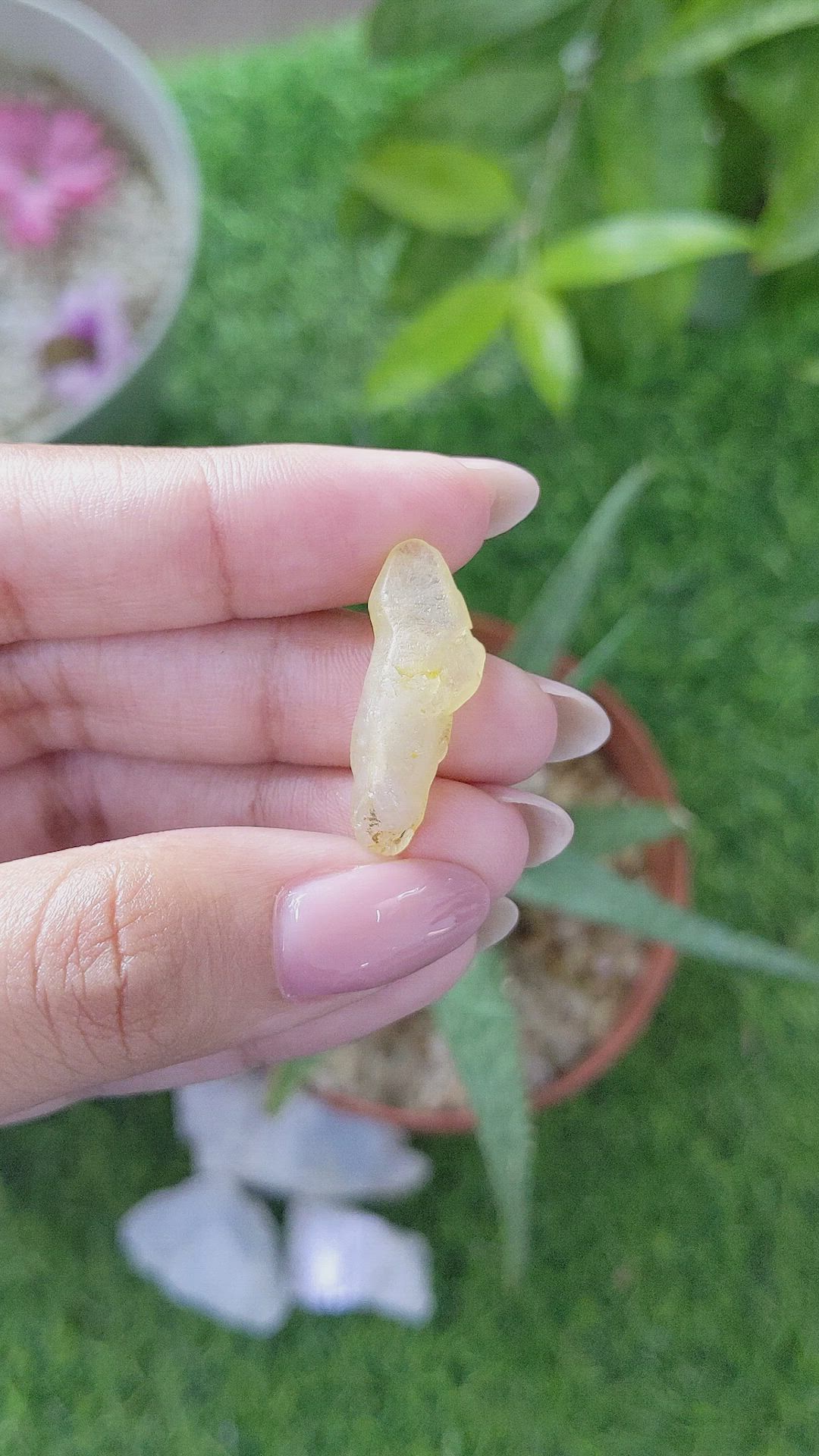 14.37 Ct. Yellow Sapphire from Ceylon (Sri Lanka) Size Video
