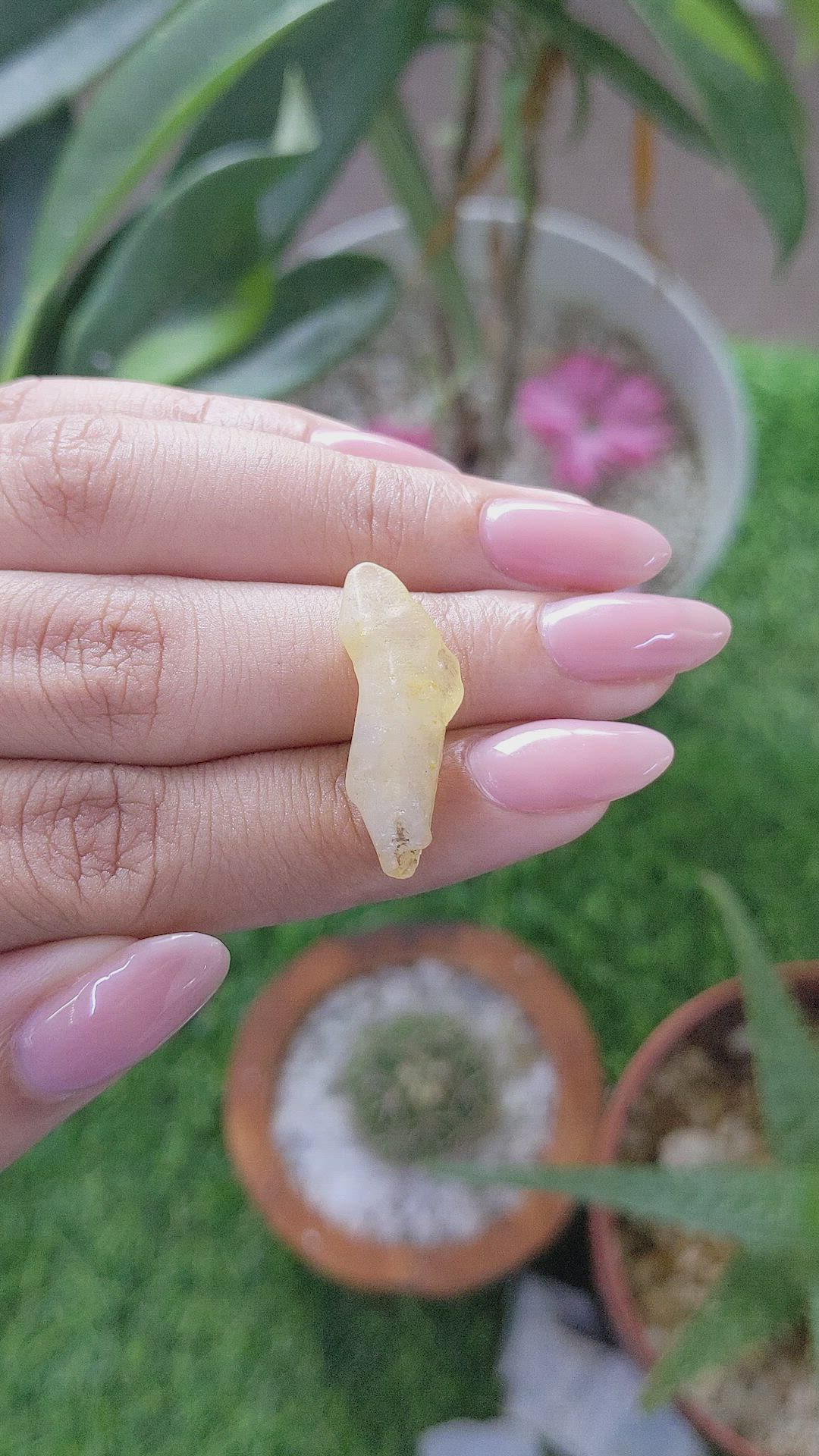 14.37 Ct. Yellow Sapphire from Ceylon (Sri Lanka) Size Video
