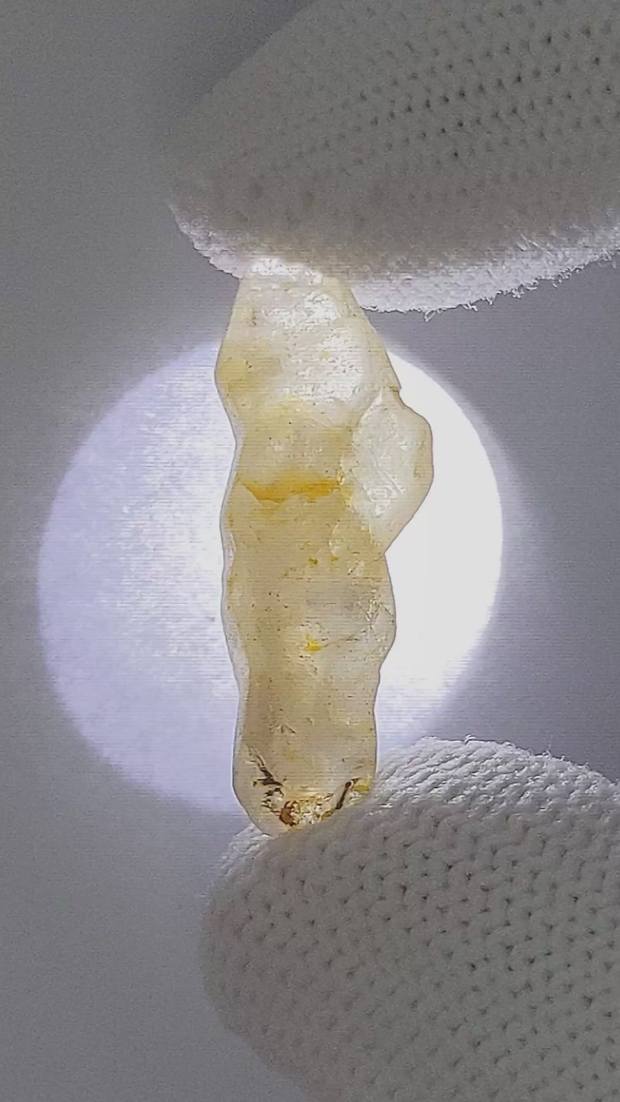 14.37 Ct. Yellow Sapphire from Ceylon (Sri Lanka) Size Video