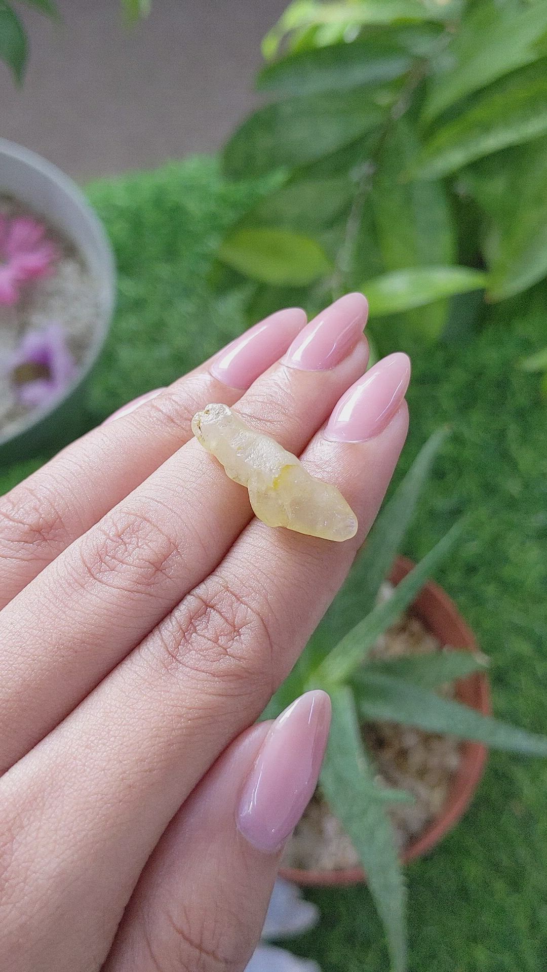 14.37 Ct. Yellow Sapphire from Ceylon (Sri Lanka) Size Video