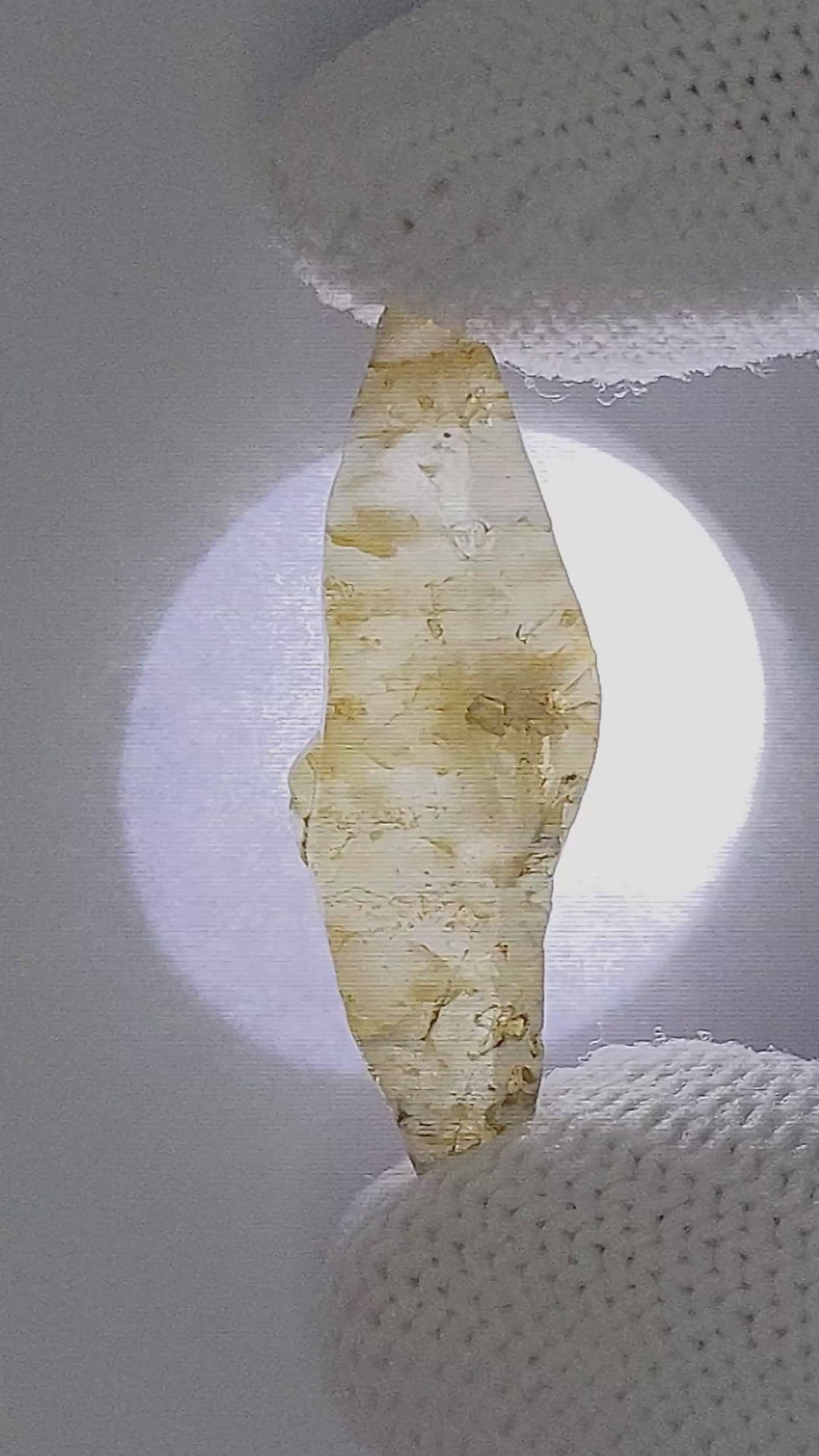 16.88 Ct. Yellow Sapphire from Ceylon (Sri Lanka) Size Video