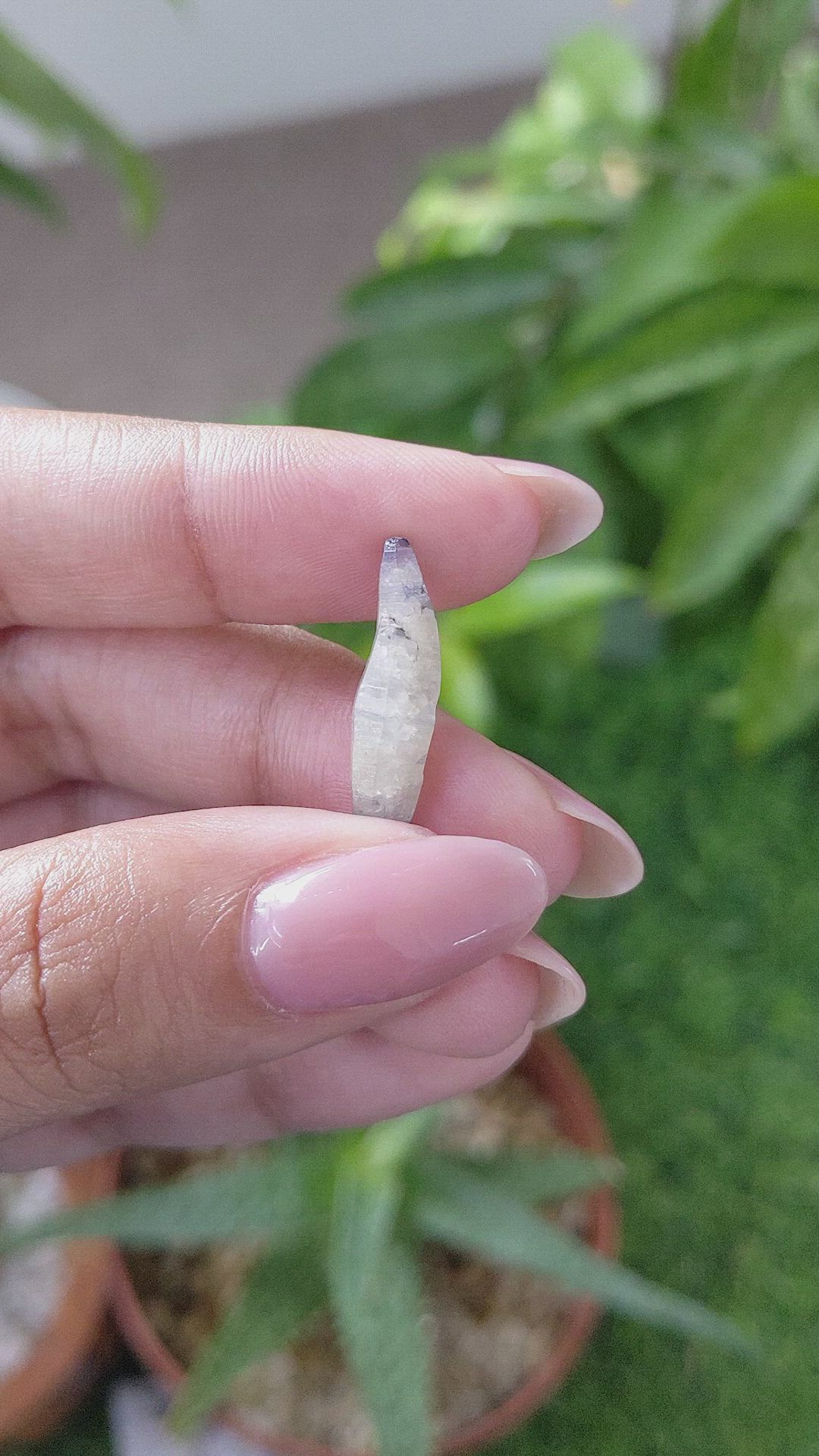 7.00 Ct. Bi Color / Parti Sapphire from Ceylon (Sri Lanka) Size Video