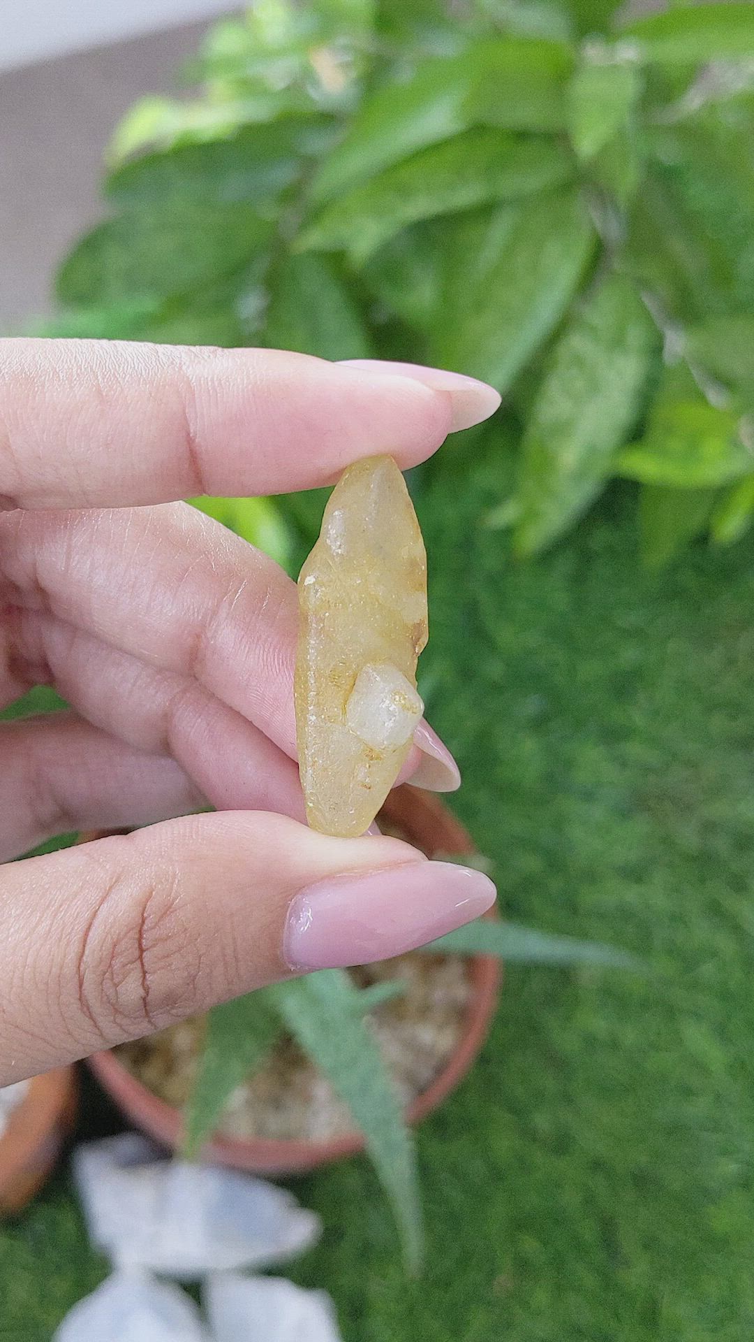 46.99 Ct. Yellow Sapphire from Ceylon (Sri Lanka) Size Video