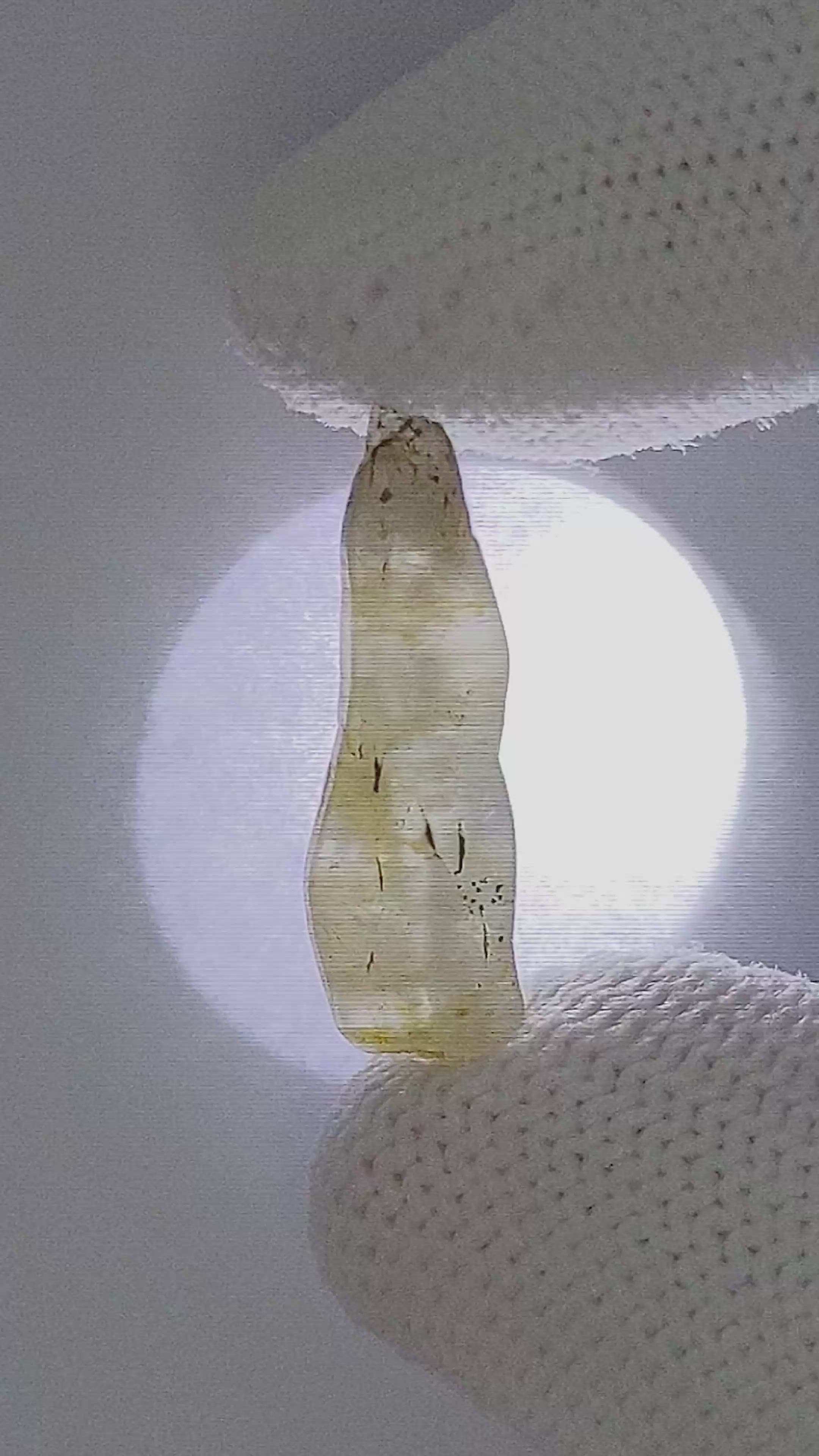 9.96 Ct. White Sapphire from Ceylon (Sri Lanka) Size Video