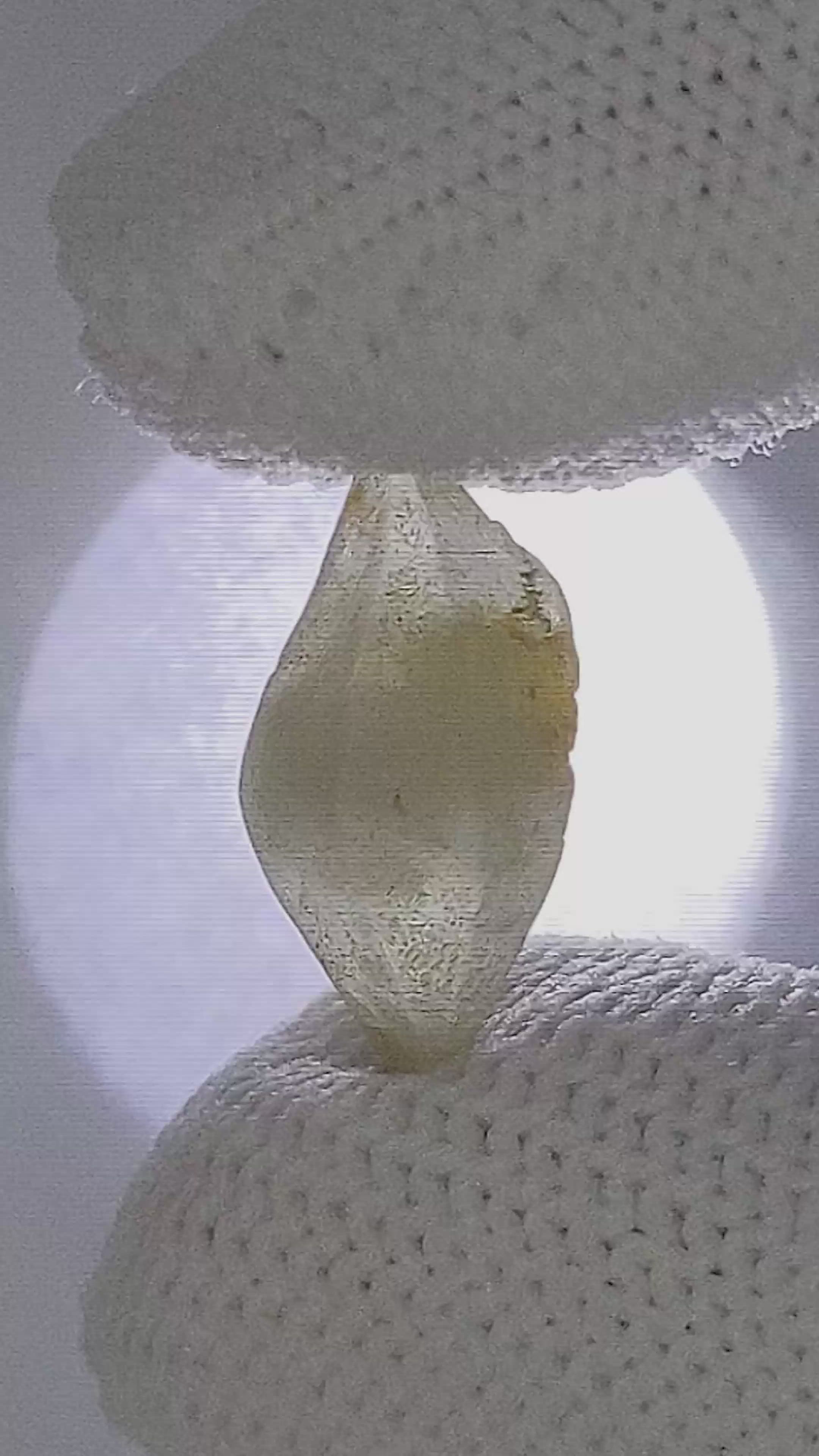 7.77 Ct. White Sapphire from Ceylon (Sri Lanka) Size Video