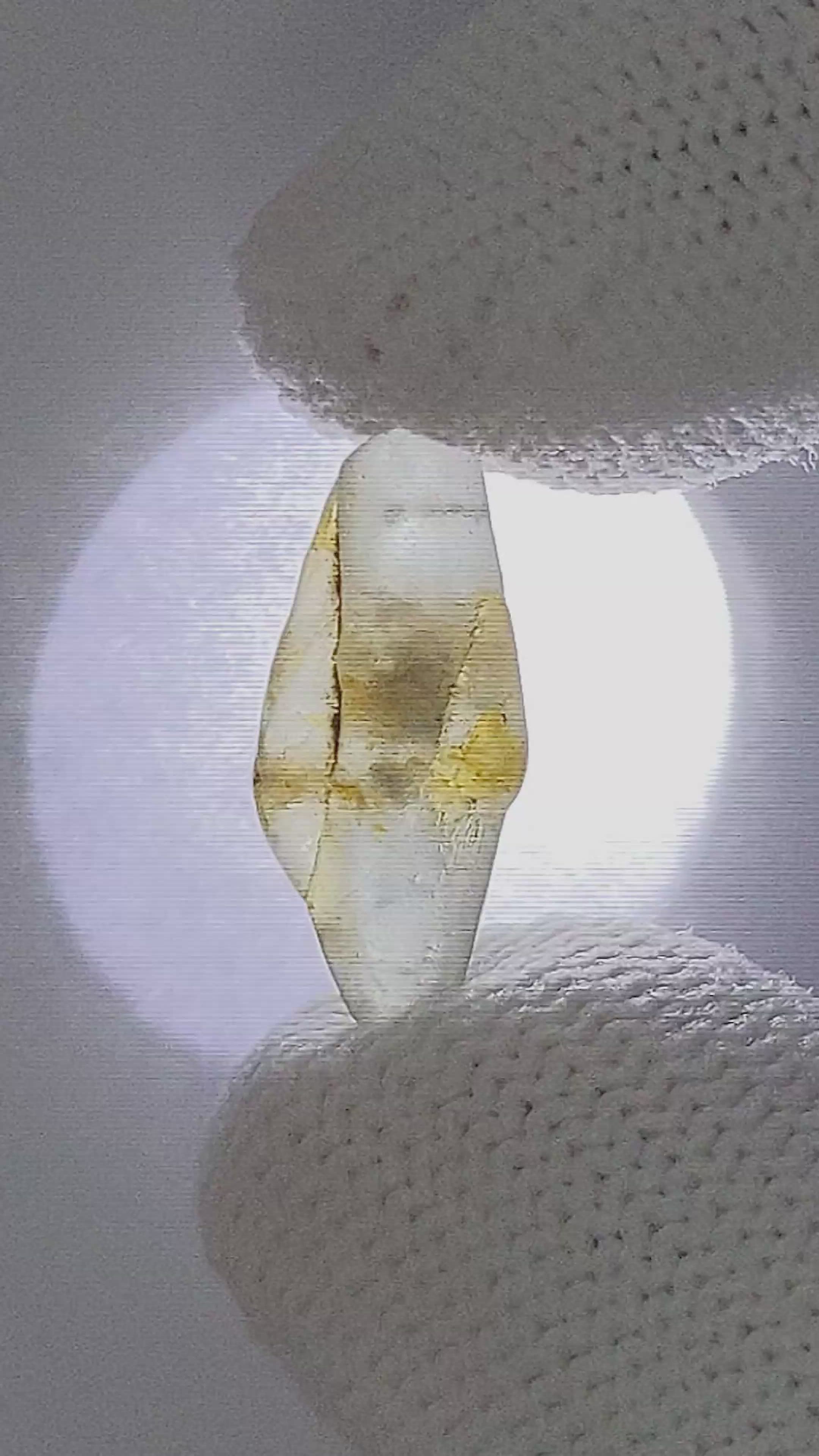 7.01 Ct. Bi Color / Parti Sapphire from Ceylon (Sri Lanka) Size Video