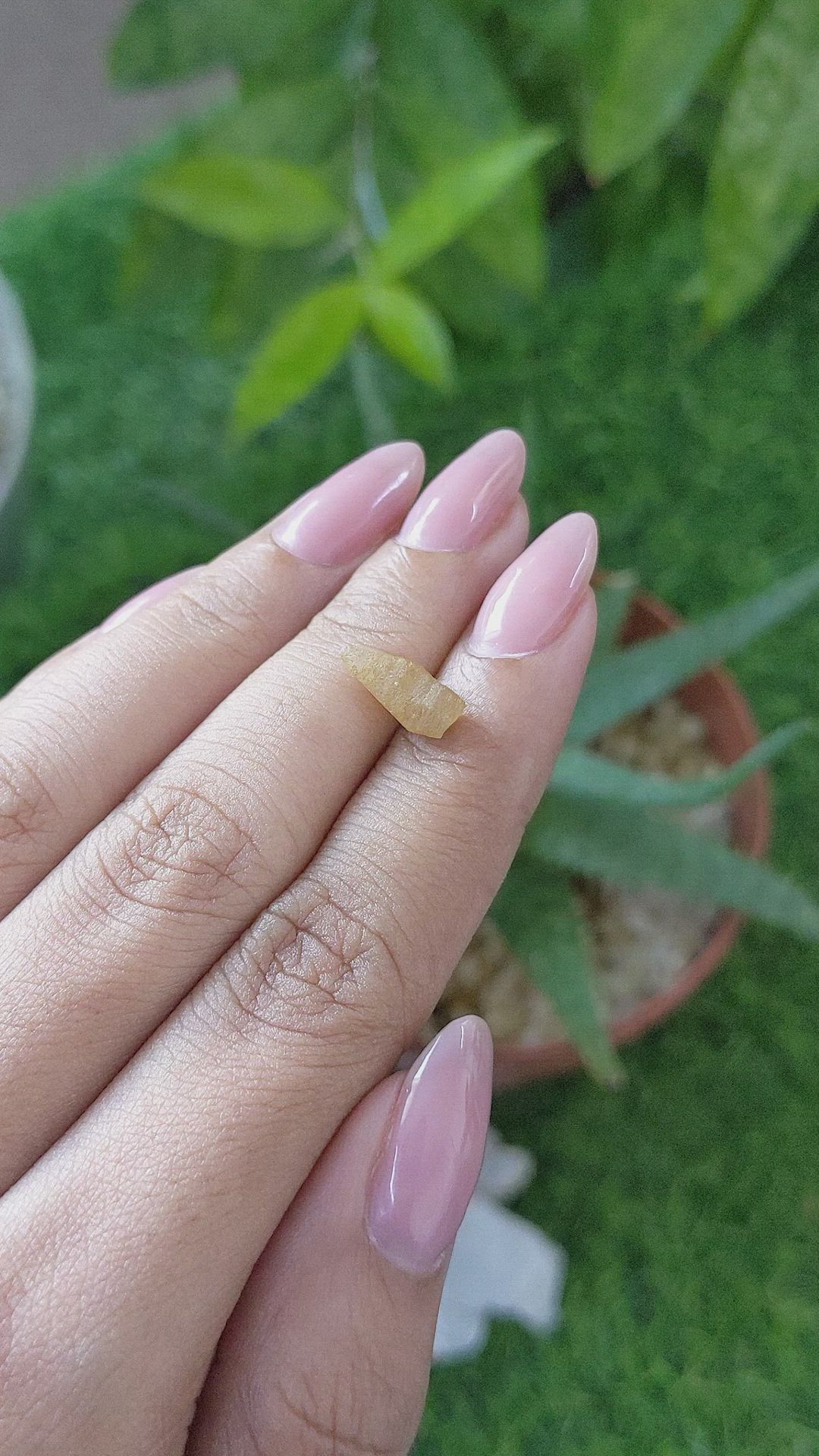 2.53 Ct. Yellow Sapphire from Ceylon (Sri Lanka) Size Video