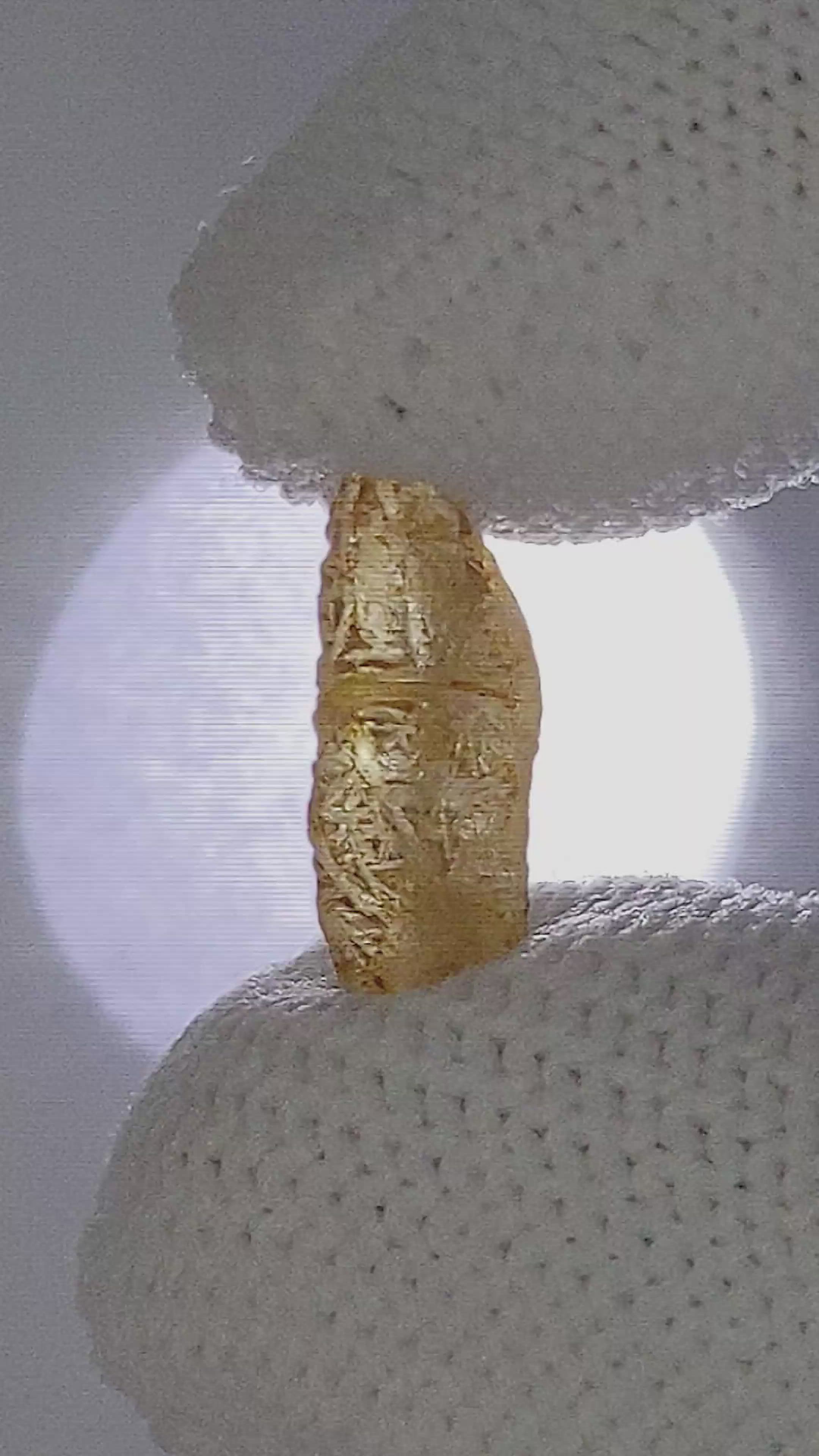 4.06 Ct. Yellow Sapphire from Ceylon (Sri Lanka) Size Video